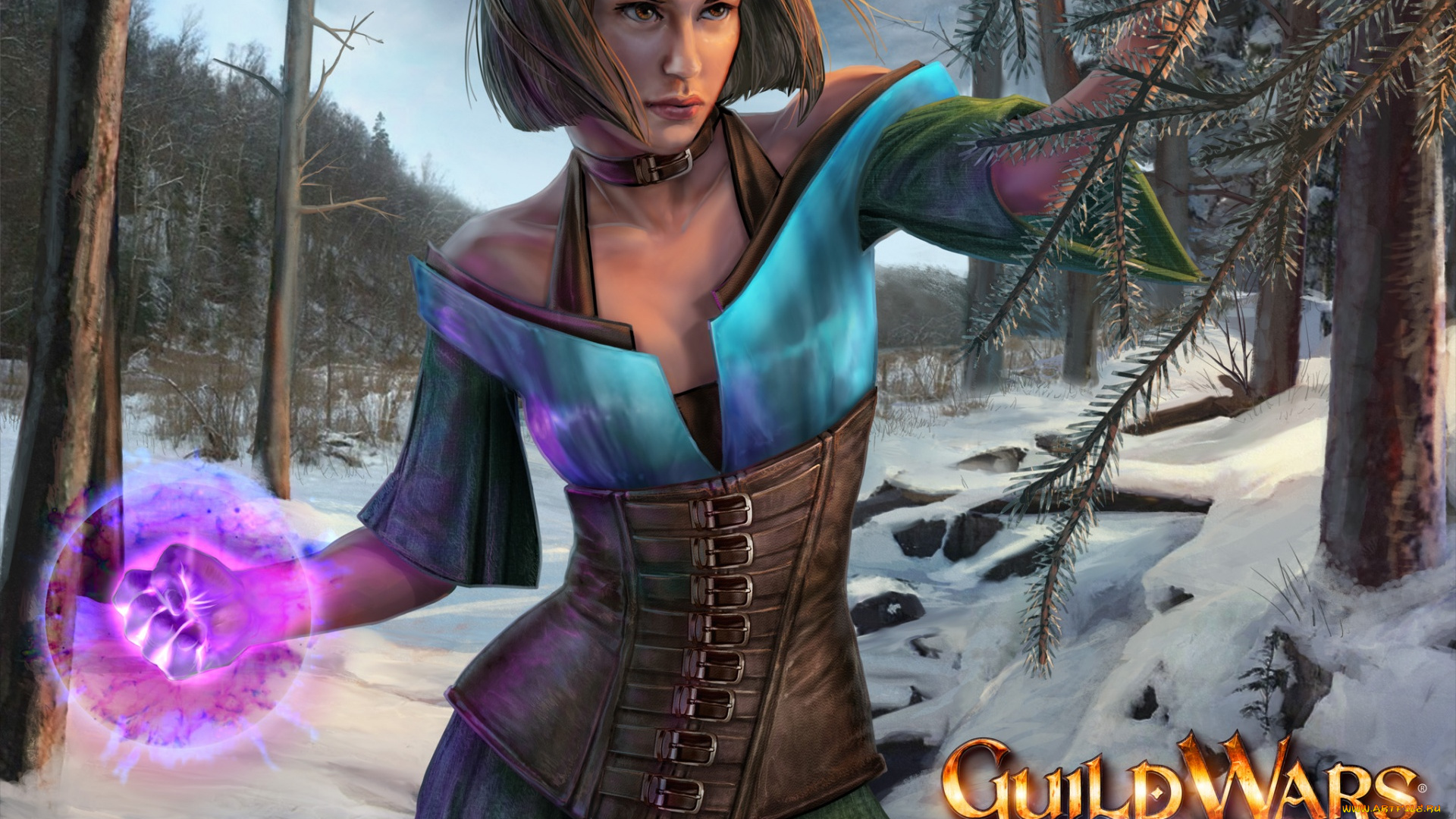 видео, игры, guild, wars, eye, of, the, north