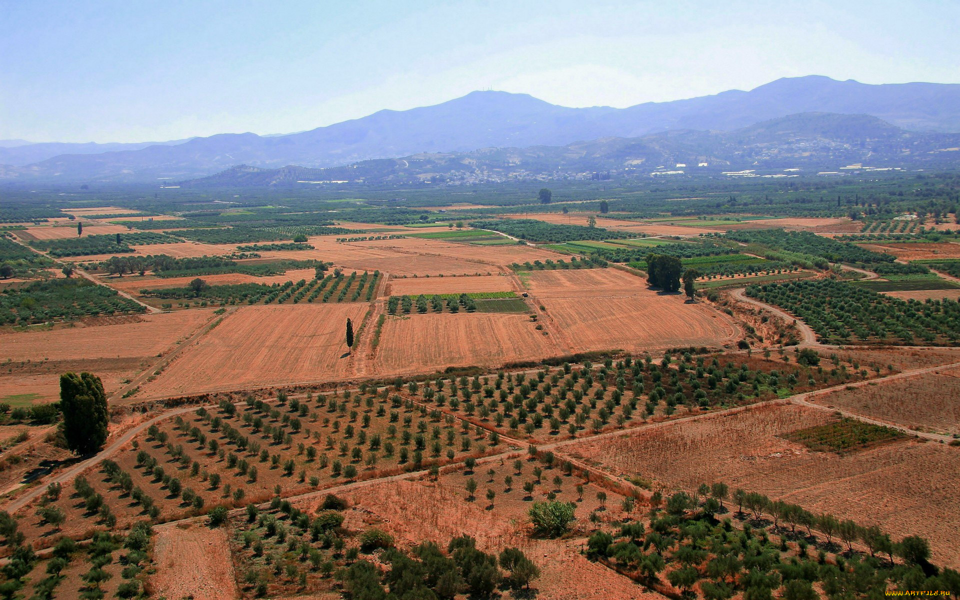 природа, поля