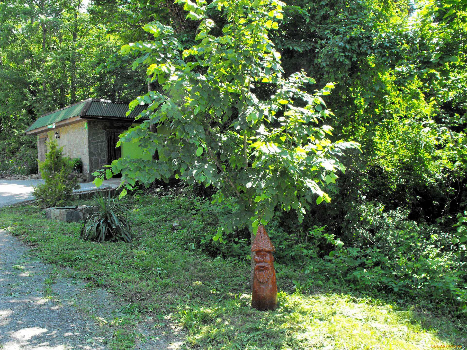 природа, парк