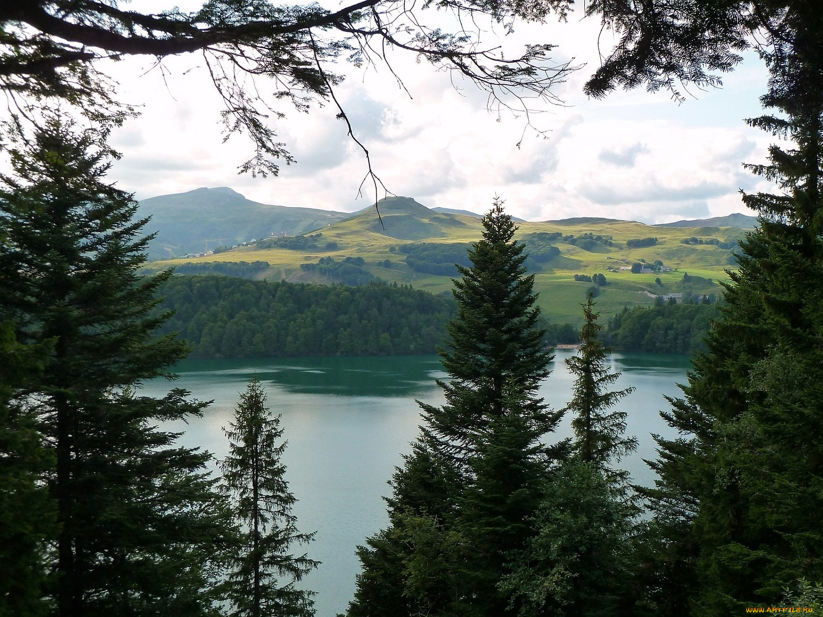 природа, реки, озера, лес, озеро, ель, холмы