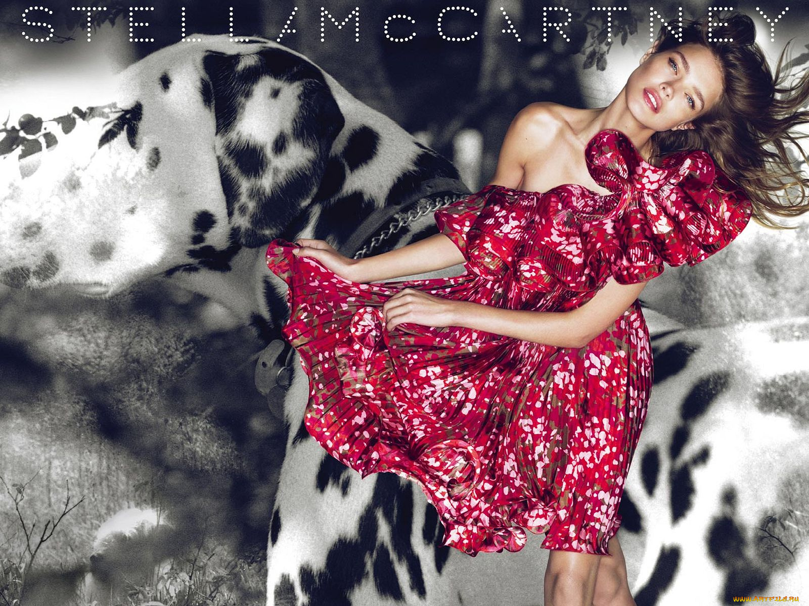 stella, mccartney, бренды