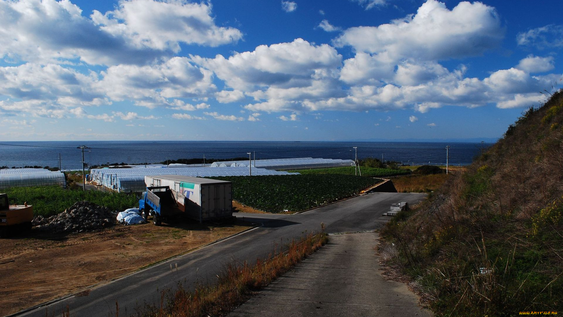 природа, дороги