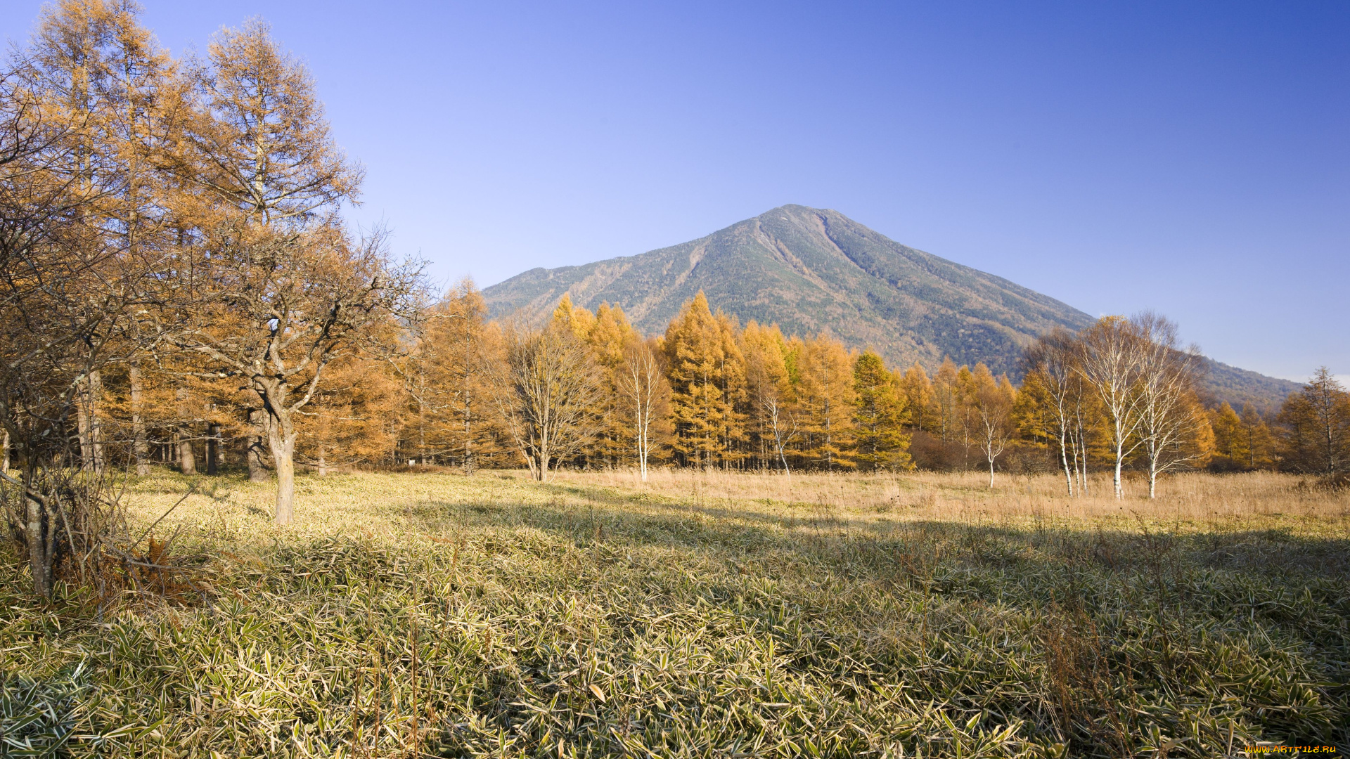 природа, пейзажи