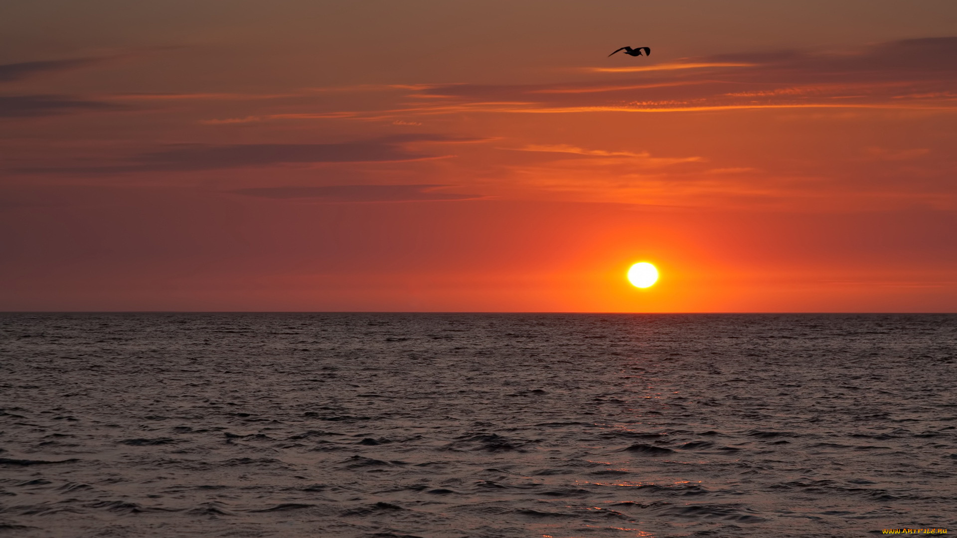 природа, восходы, закаты, морской, закат