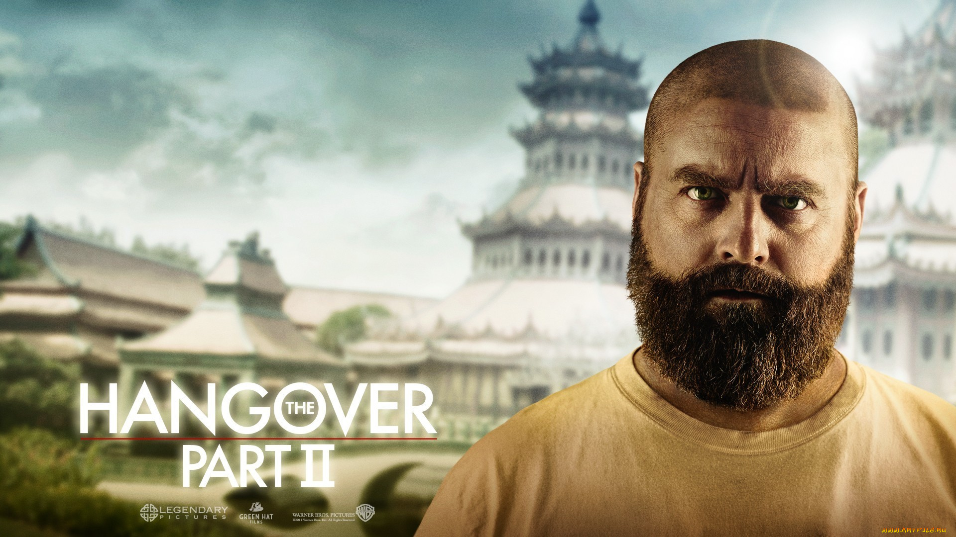the, hangover, part, ii, кино, фильмы, лысый, бородатый