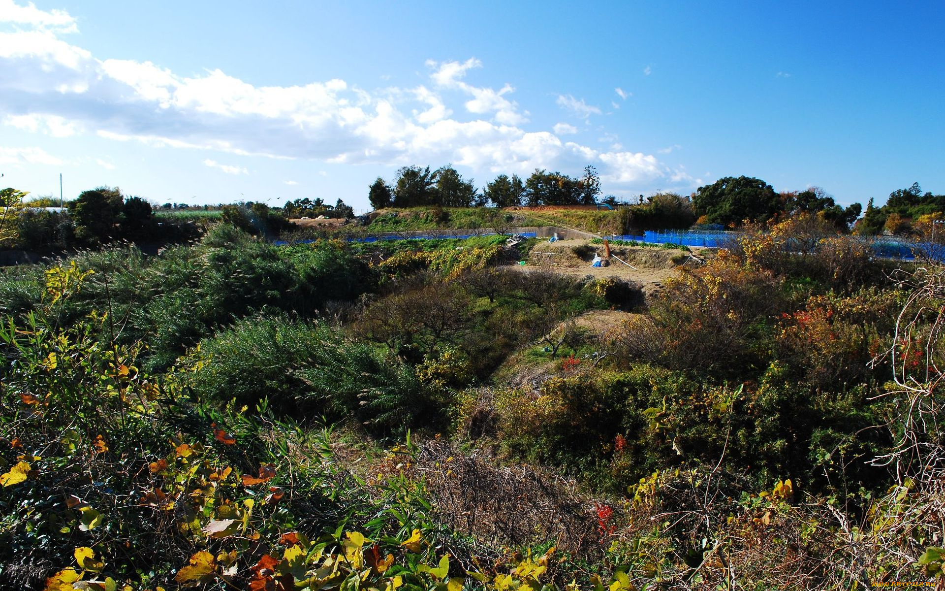 природа, пейзажи