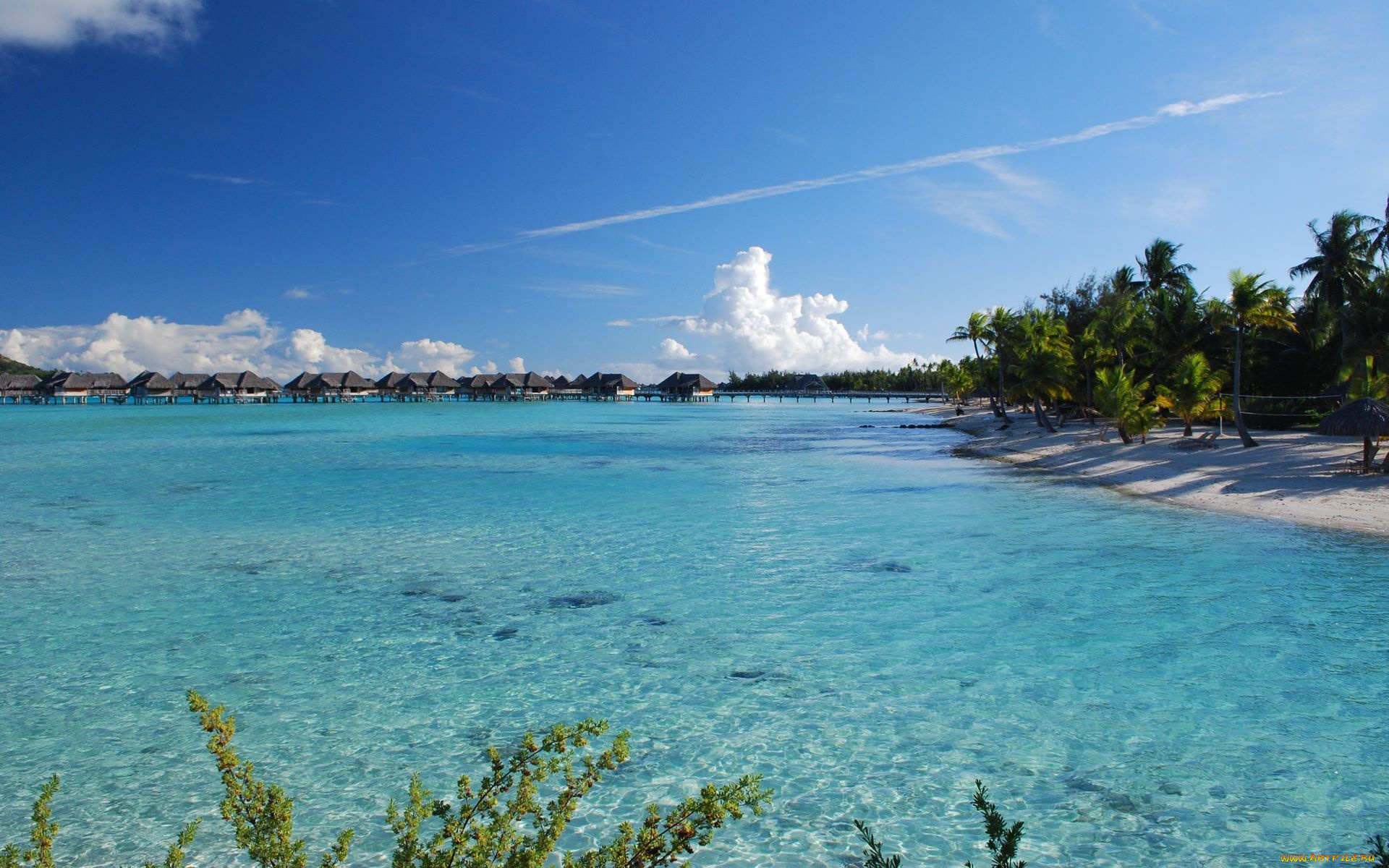 природа, тропики