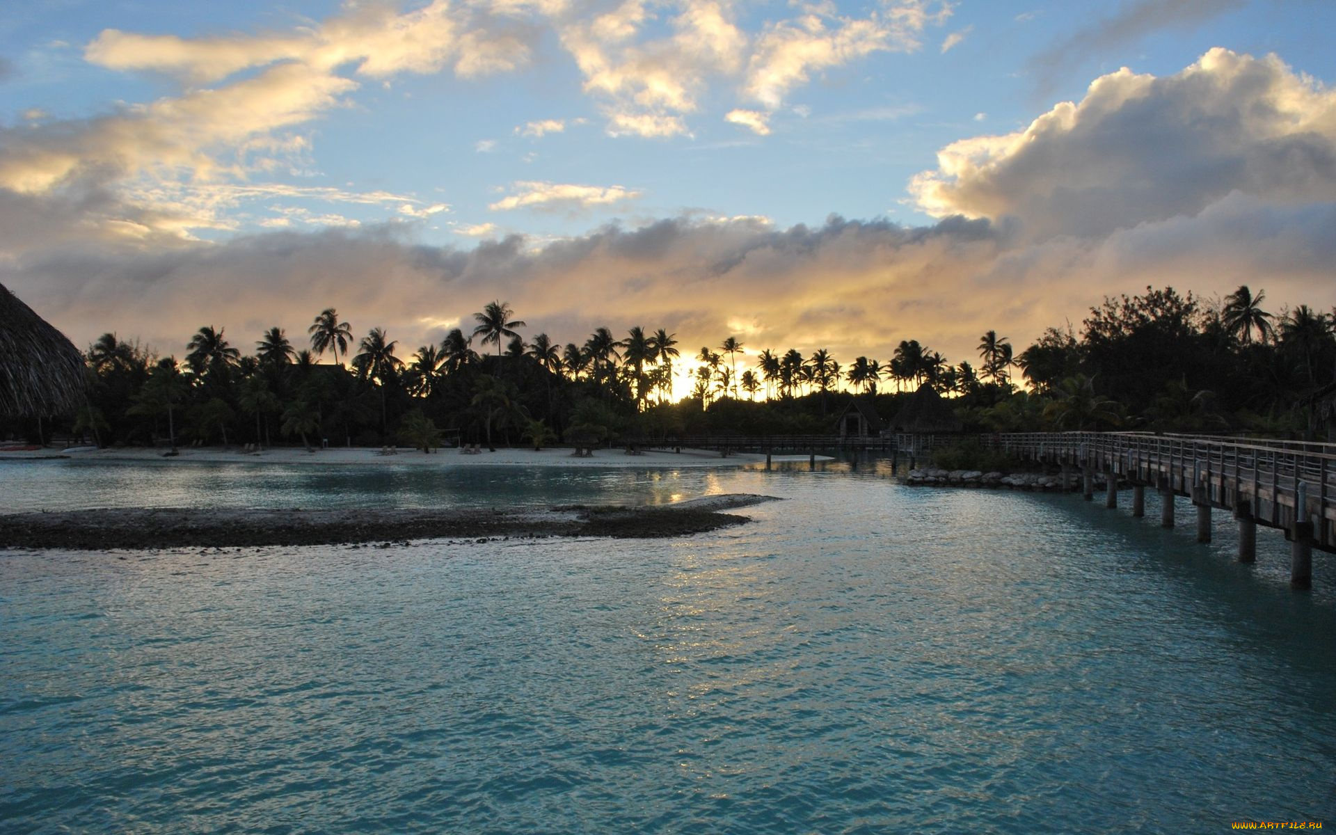 природа, тропики