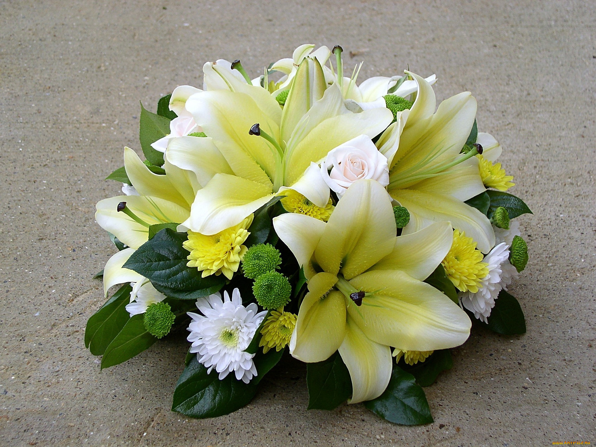 цветы, букеты, композиции, лилии, хризантемы