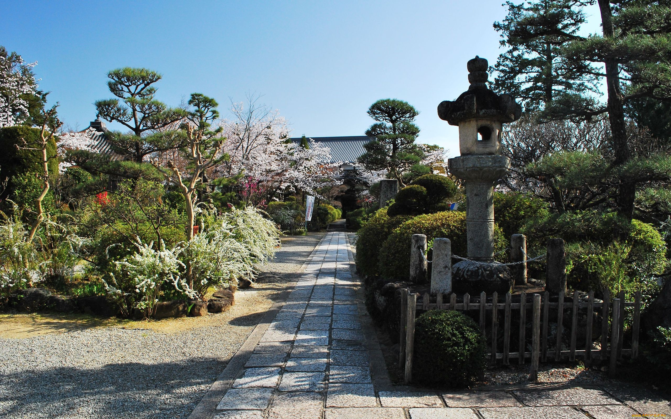 природа, парк