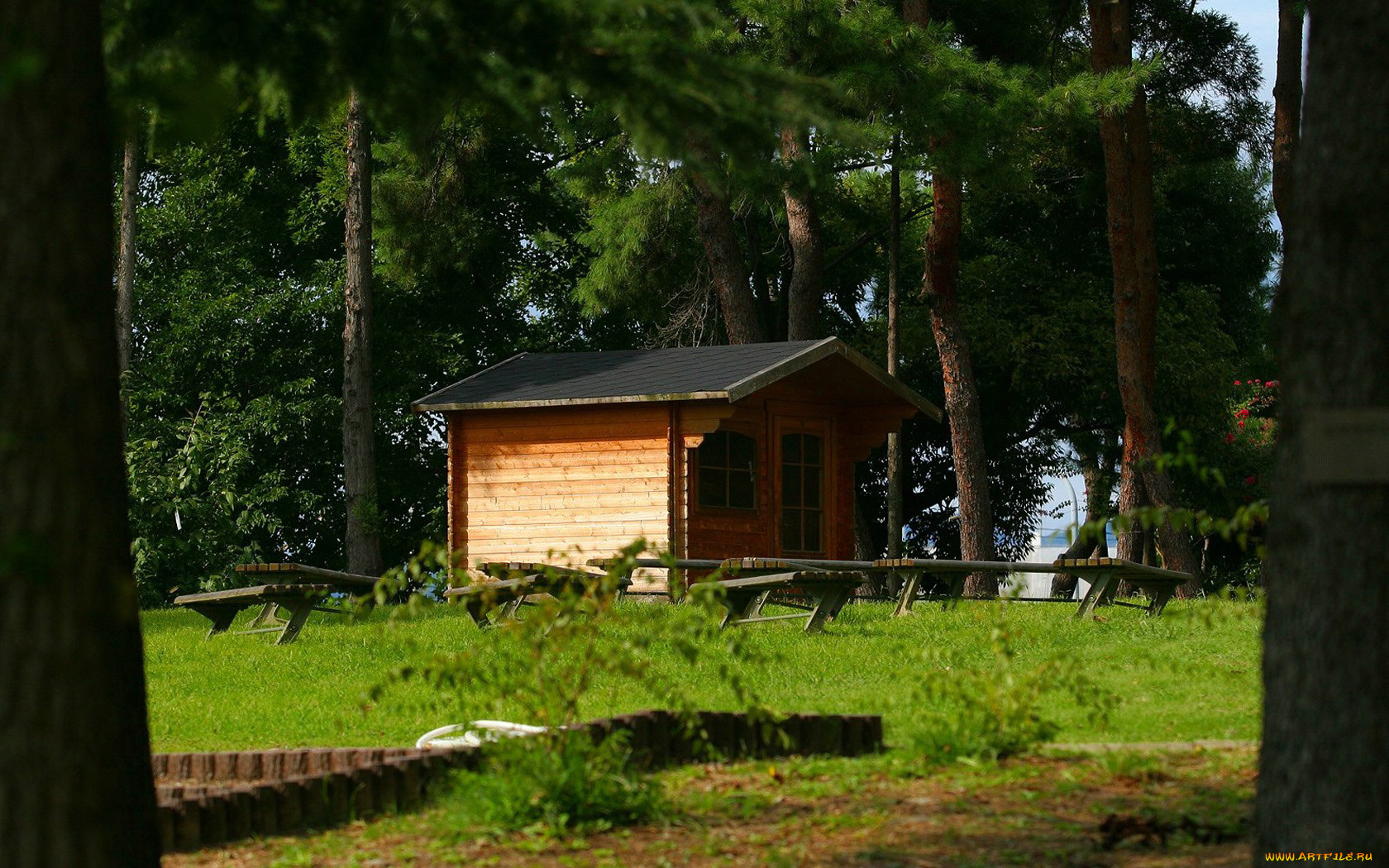 разное, сооружения, постройки, сосны, постройка, скамейки