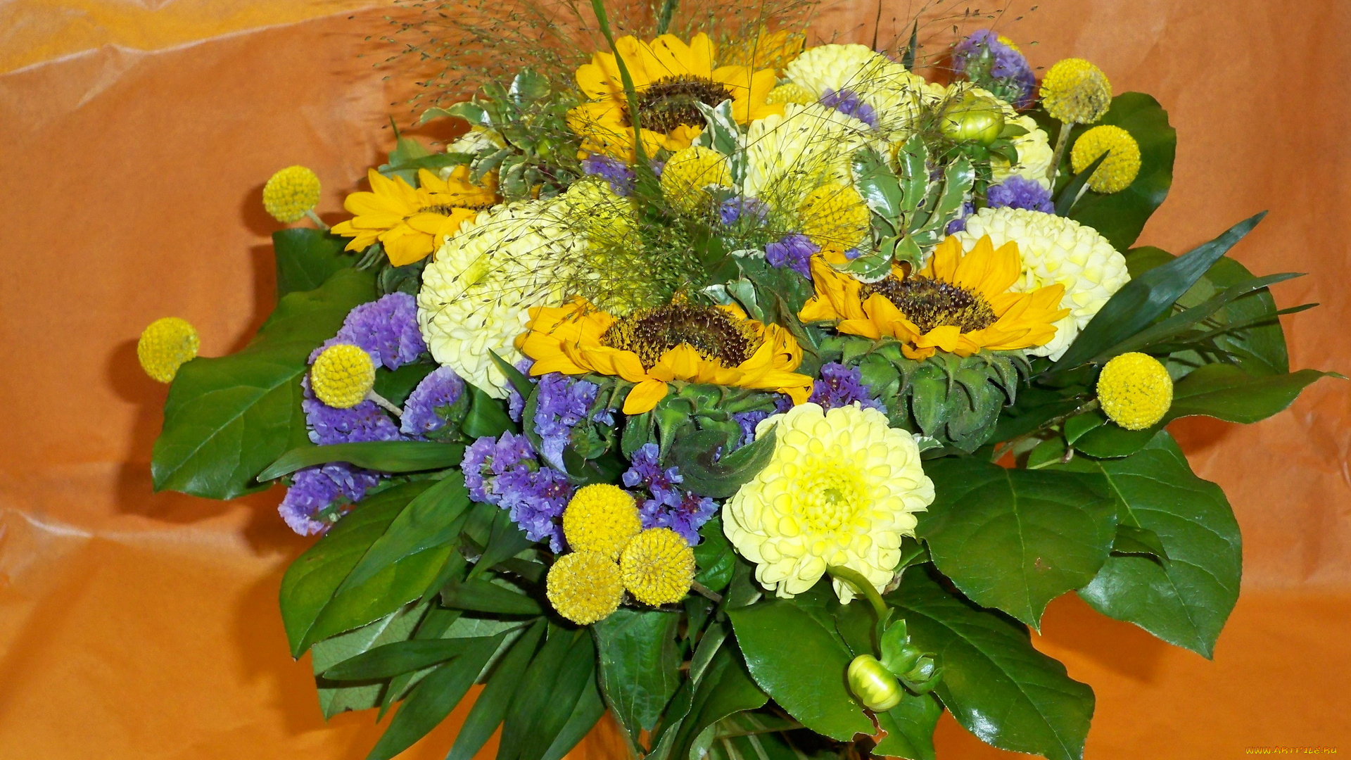 цветы, букеты, композиции, букет