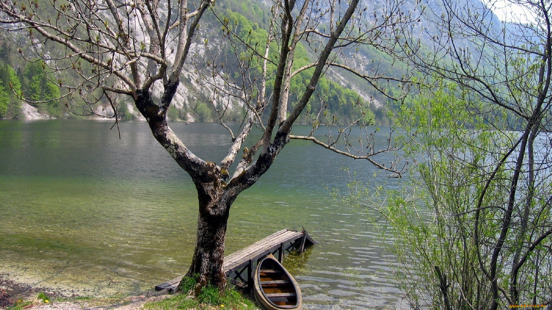 корабли, лодки, шлюпки, мостки, деревья, лодка, река, гора