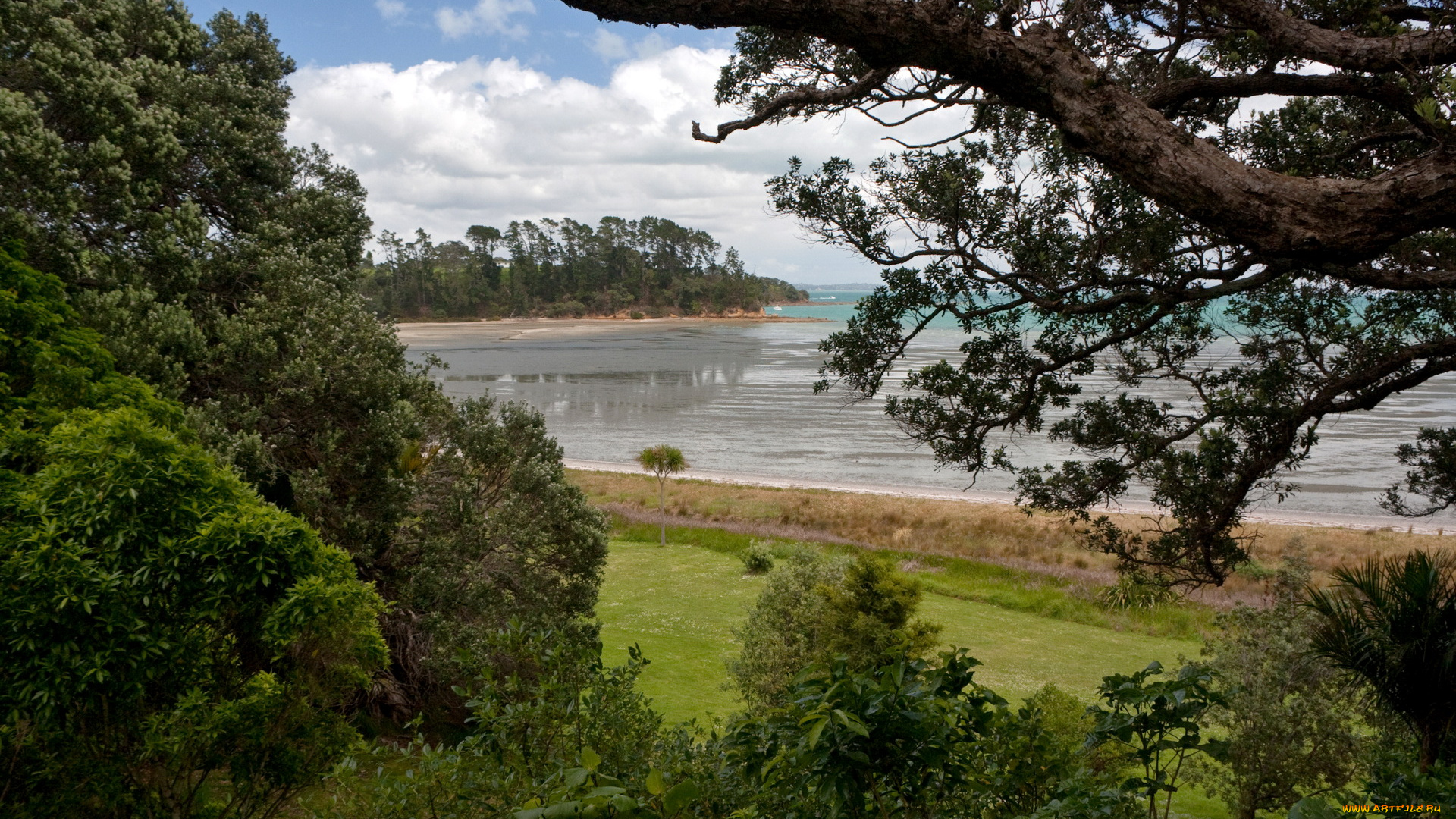 new, zealand, природа, тропики, берег, море