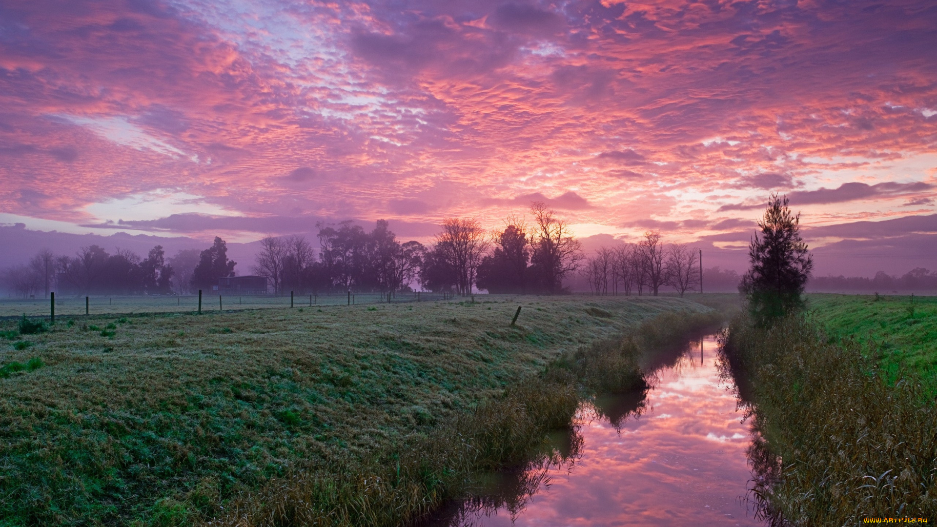 природа, поля, поле, канал, утро, розовые, облака