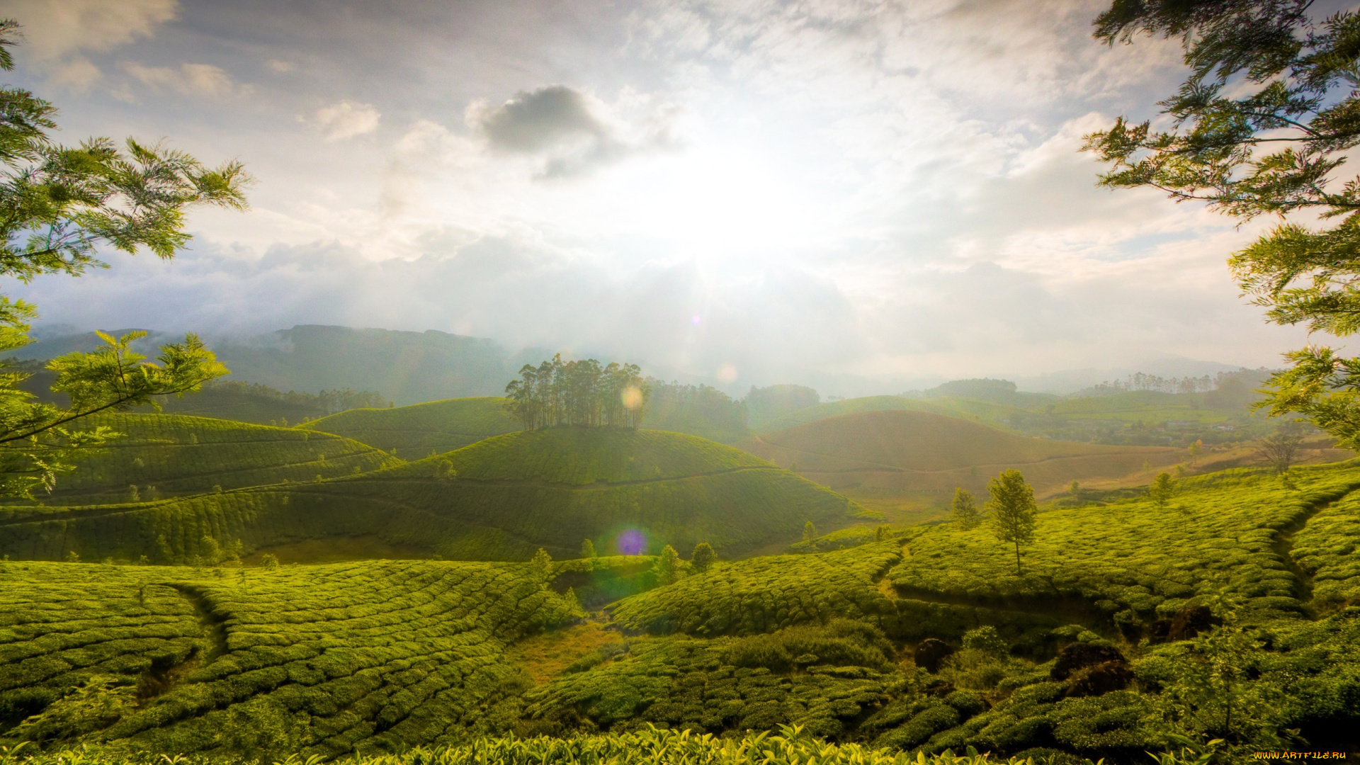 природа, восходы, закаты, холмы, восход, поля