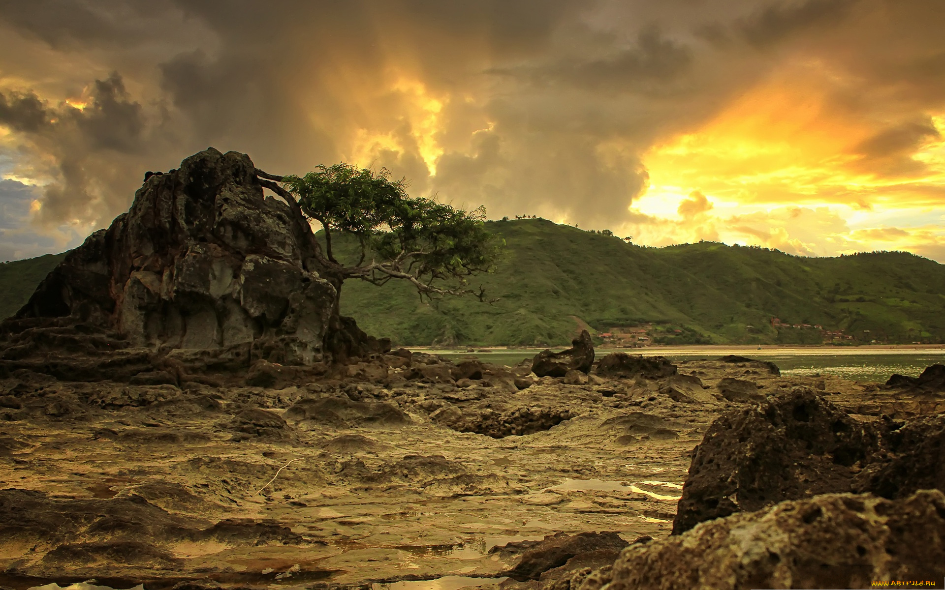 природа, побережье, дерево, горы, река