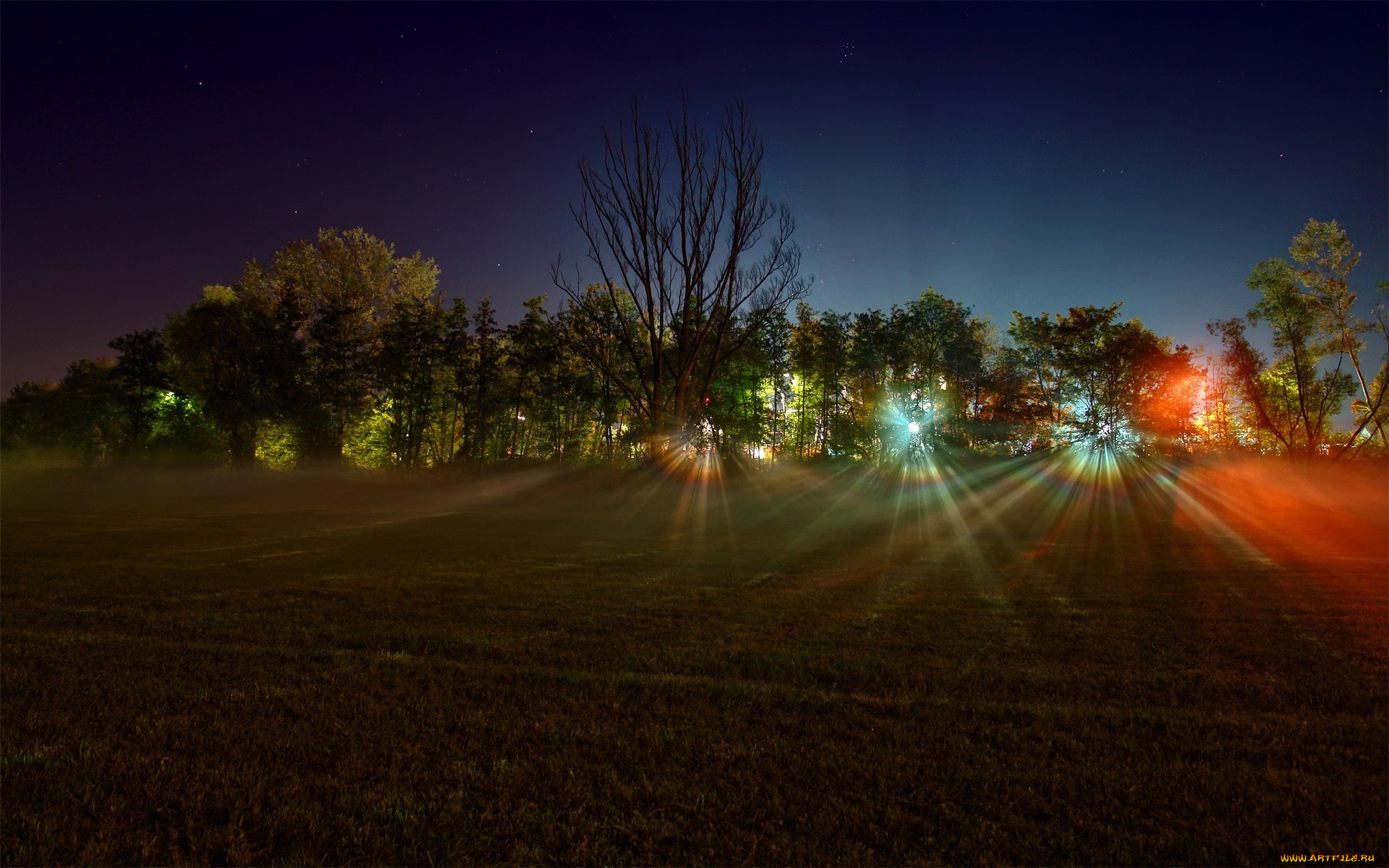 природа, восходы, закаты, поле, деревья, лучи