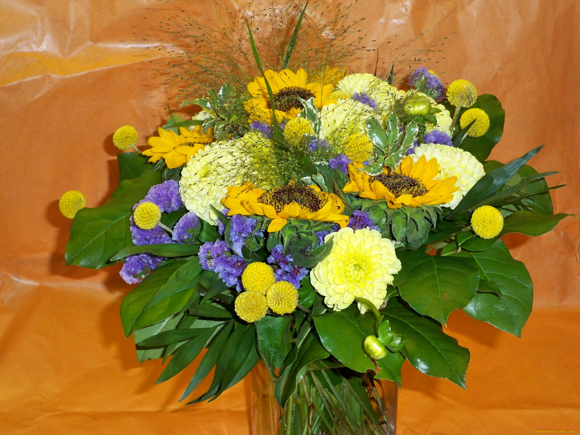 цветы, букеты, композиции, букет