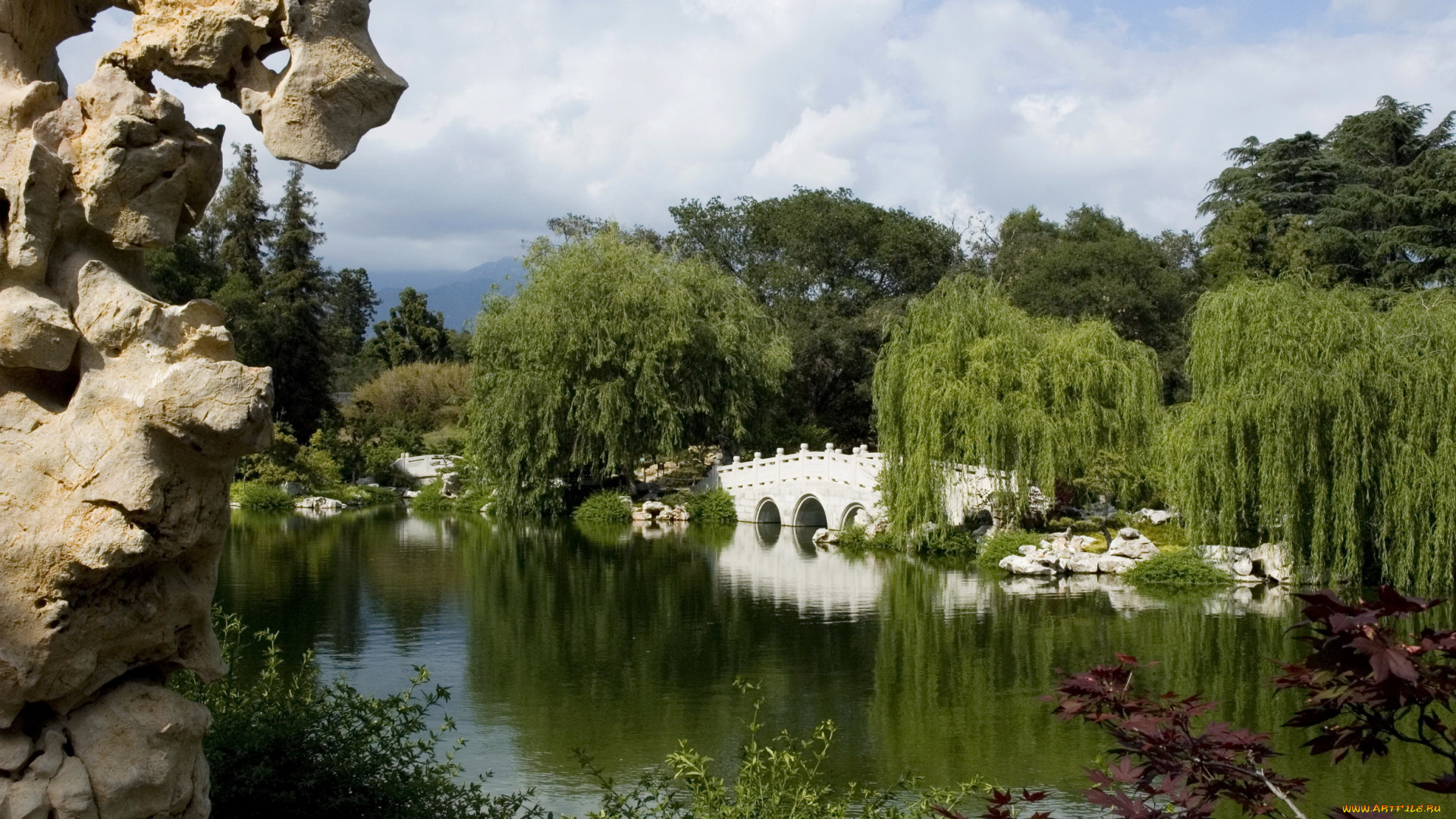 botanical, garden, san, marino, california, природа, парк, ботанический, сад, пруд, мостик
