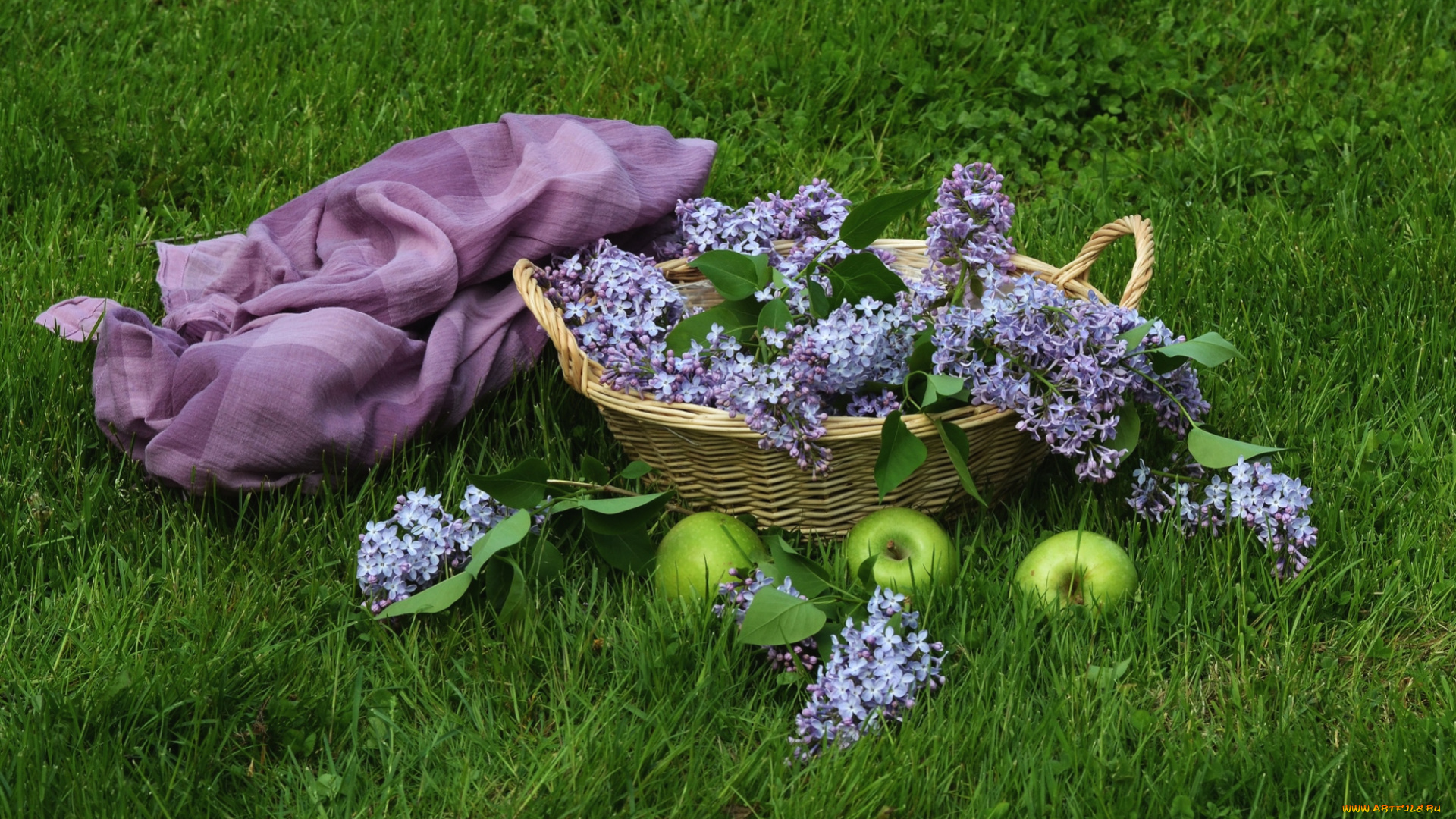 цветы, сирень, платок, яблоки, корзина