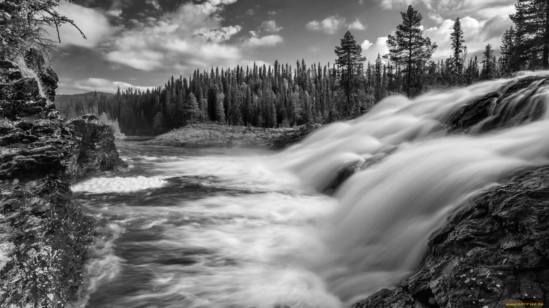 dimforsen, v&, 228, sterbotten, sweden, природа, водопады, лес, черно-белая, поток, швеция, vasterbotten, вестерботтен