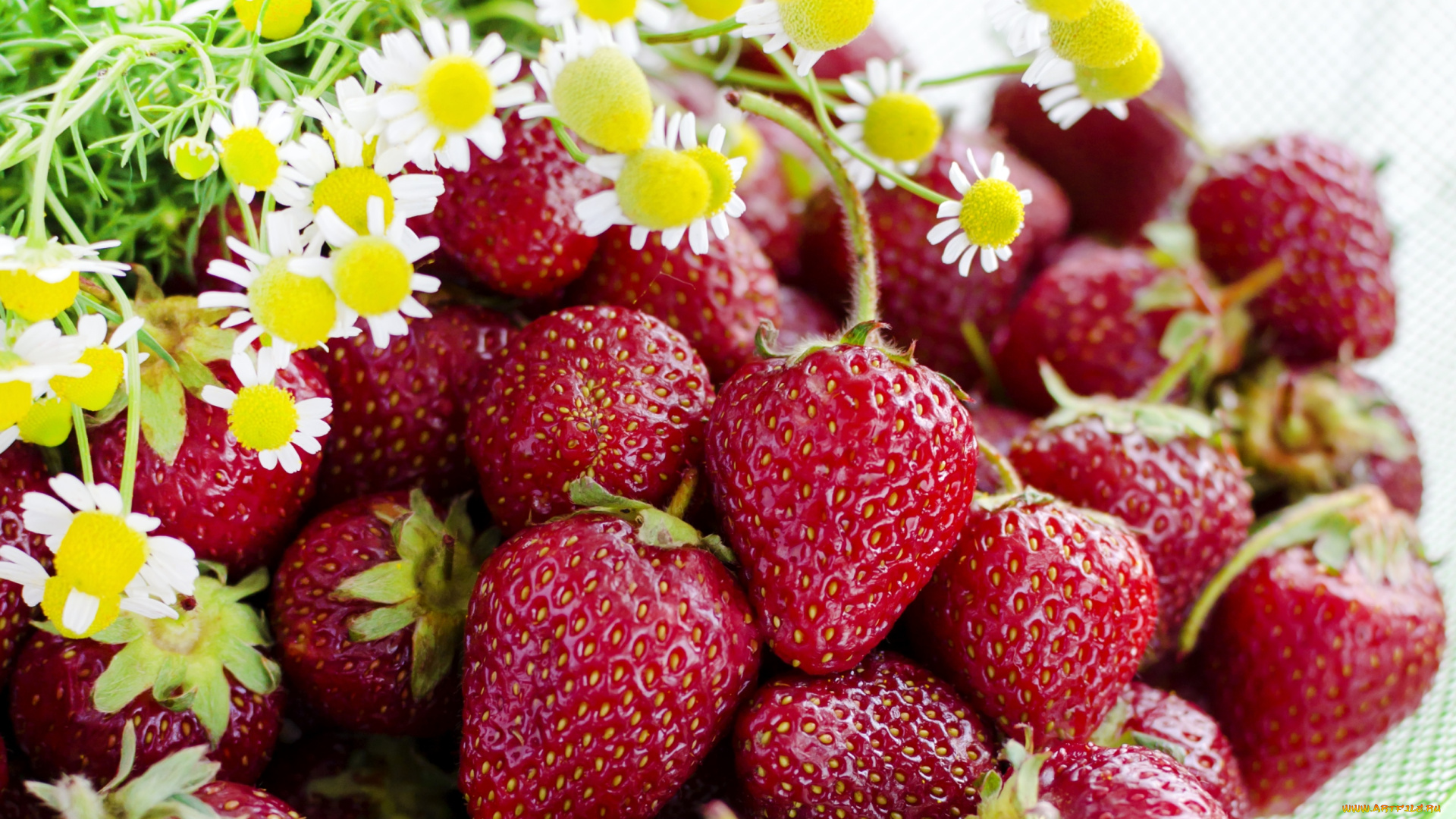 еда, клубника, земляника, ромашки, ягоды