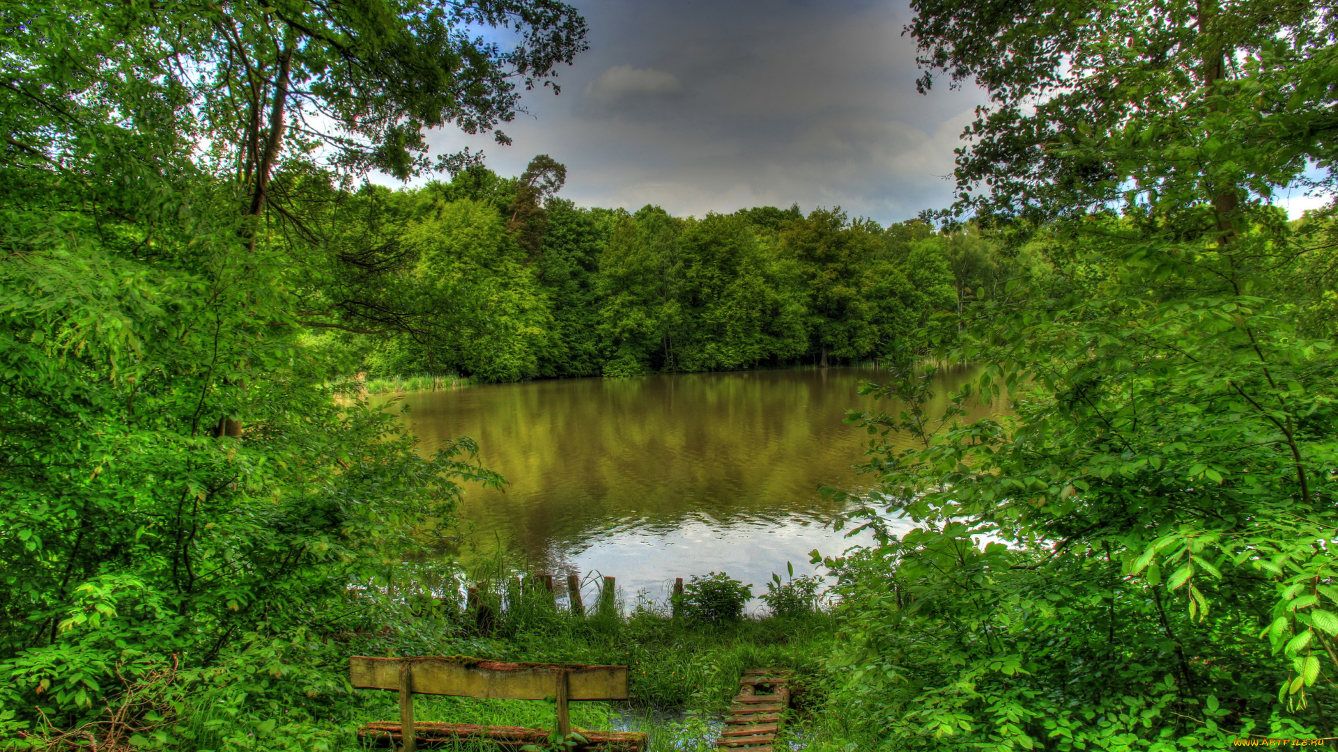 германия, гессен, природа, реки, озера, река, деревья