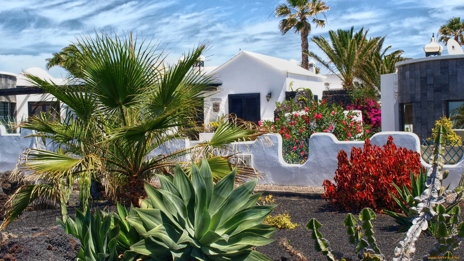 испания, канары, Чарко, дель, пало, города, улицы, площади, набережные, улица, дома, цветы