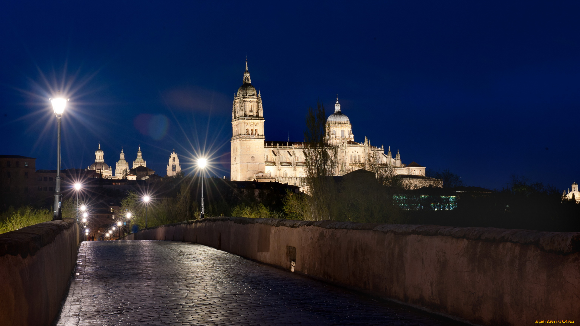испания, саламанка, города, огни, ночного, мост, река, дома, ночь