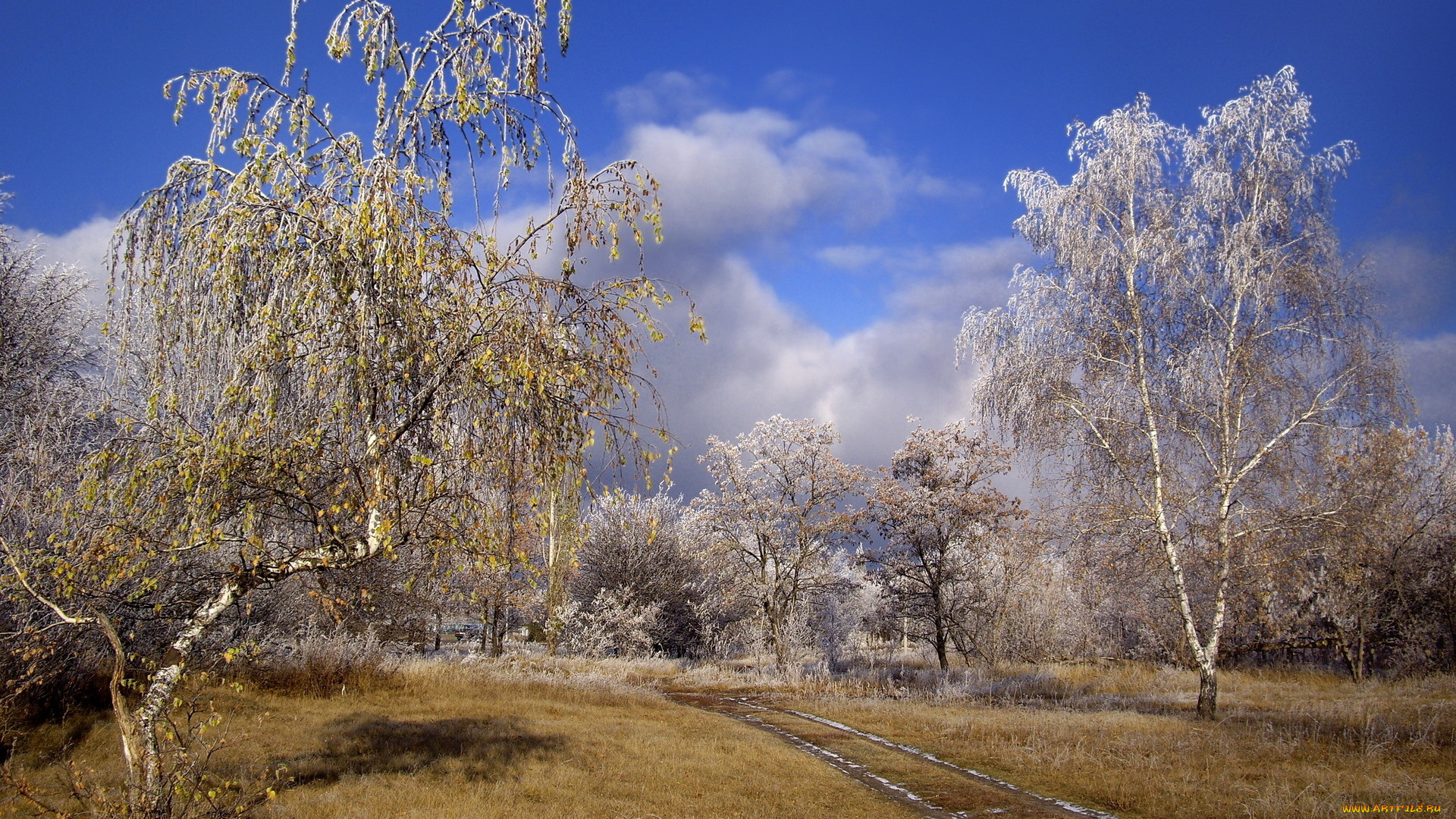 природа, дороги, иней, дорога, оснеь, деревья