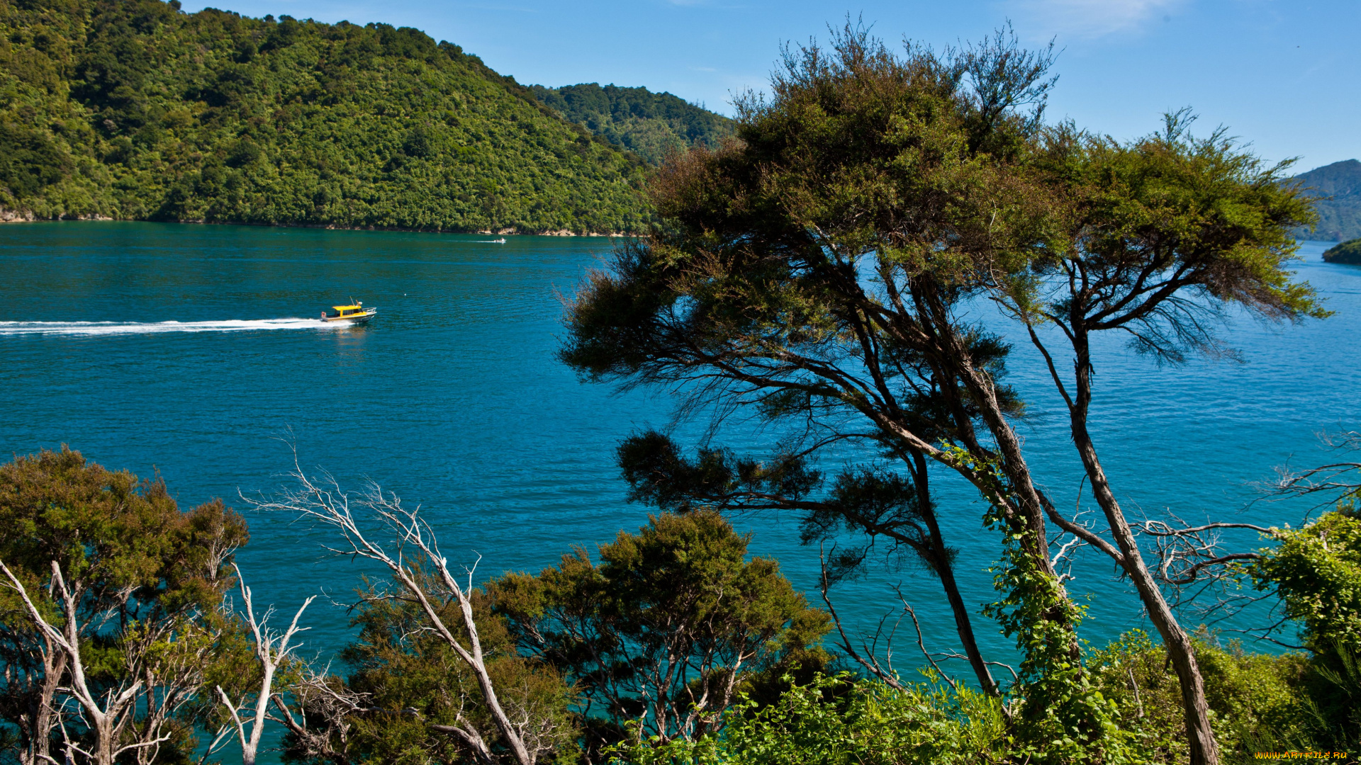 природа, моря, океаны, новая, зеландия