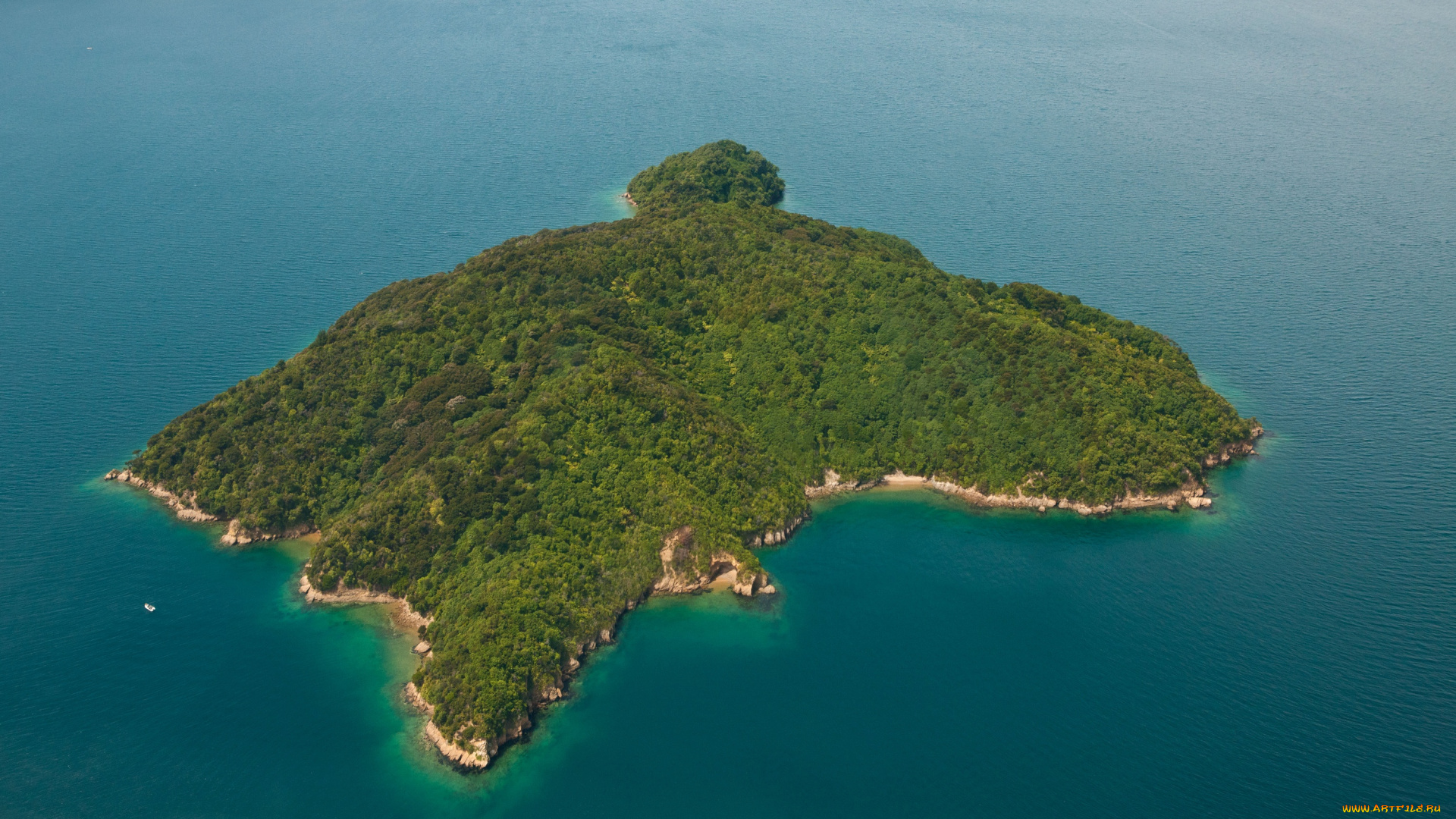 природа, моря, океаны, новая, зеландия, остров