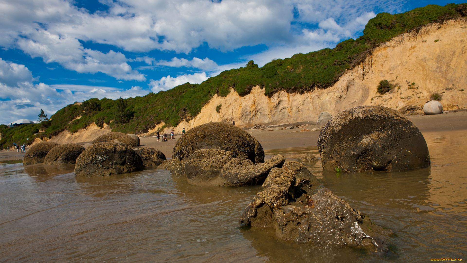 природа, побережье, новая, зеландия