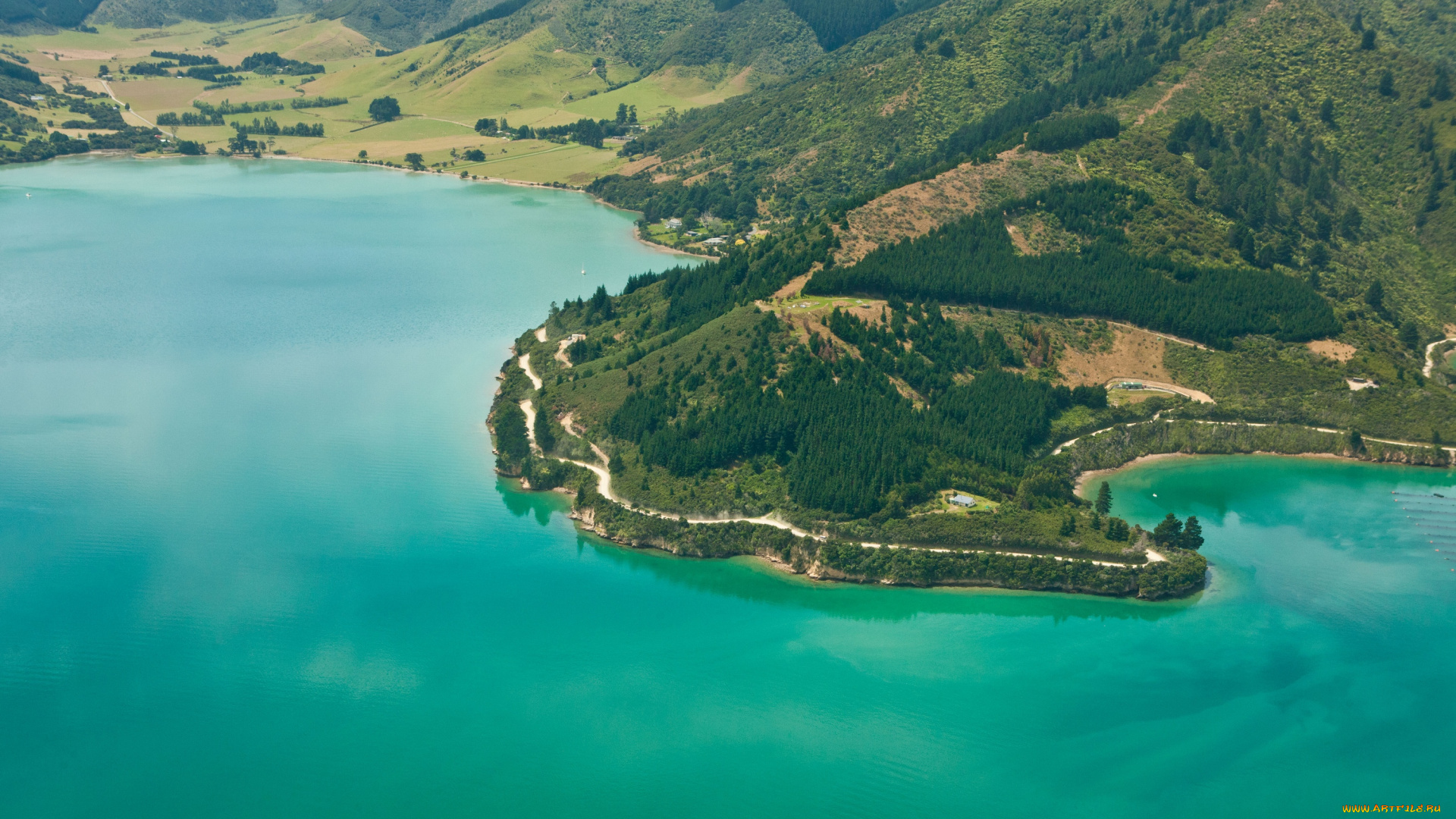 природа, побережье, пиктон, южный, остров, новая, зеландия