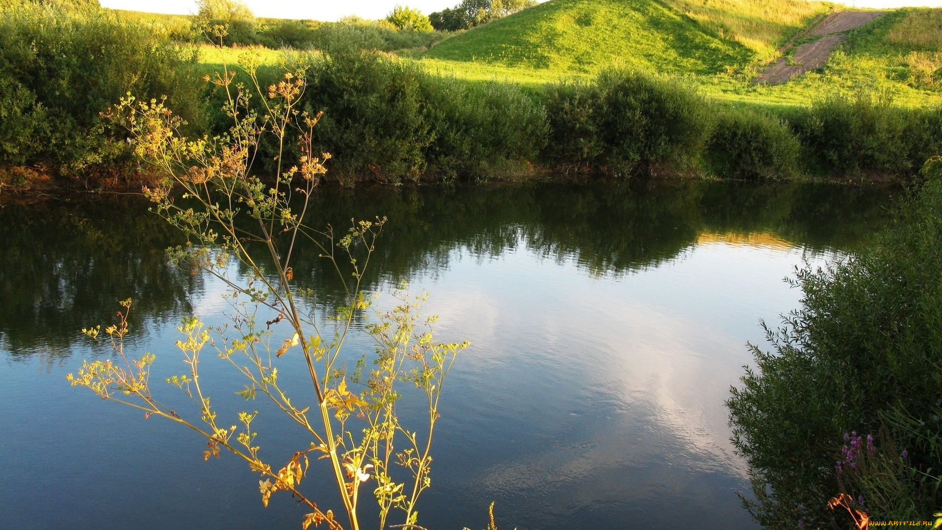 природа, реки, озера, озеро, холмы, трава