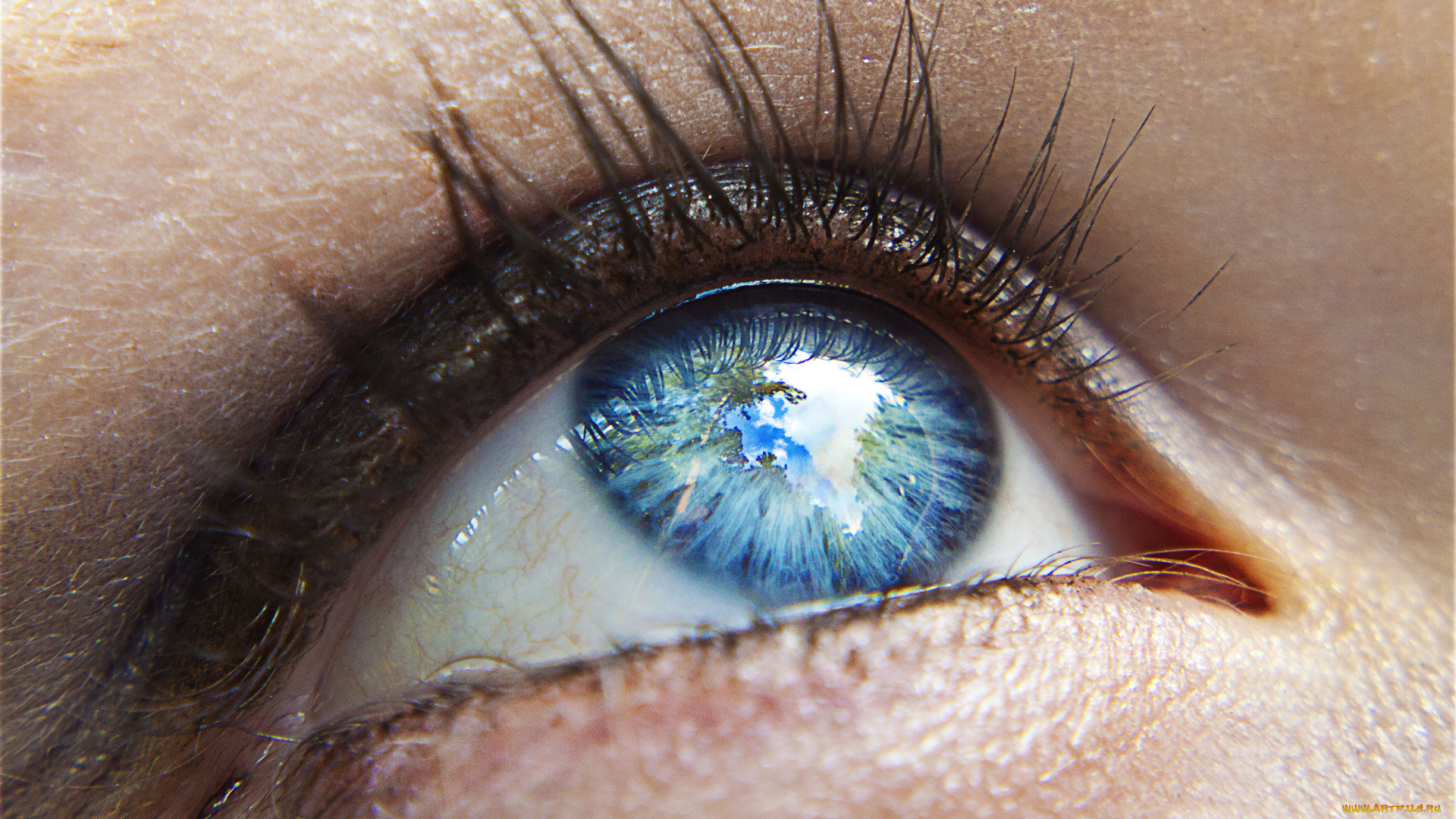 разное, глаза, ресницы