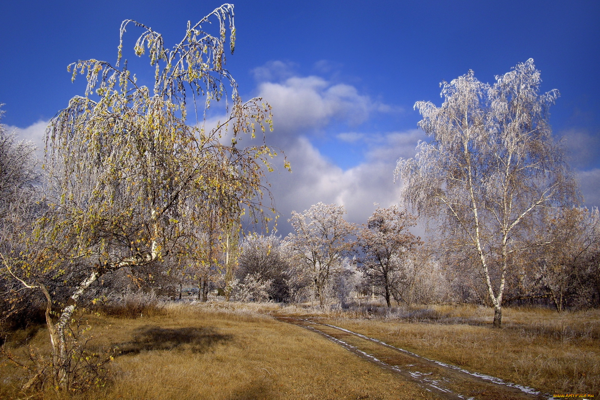 природа, дороги, иней, дорога, оснеь, деревья