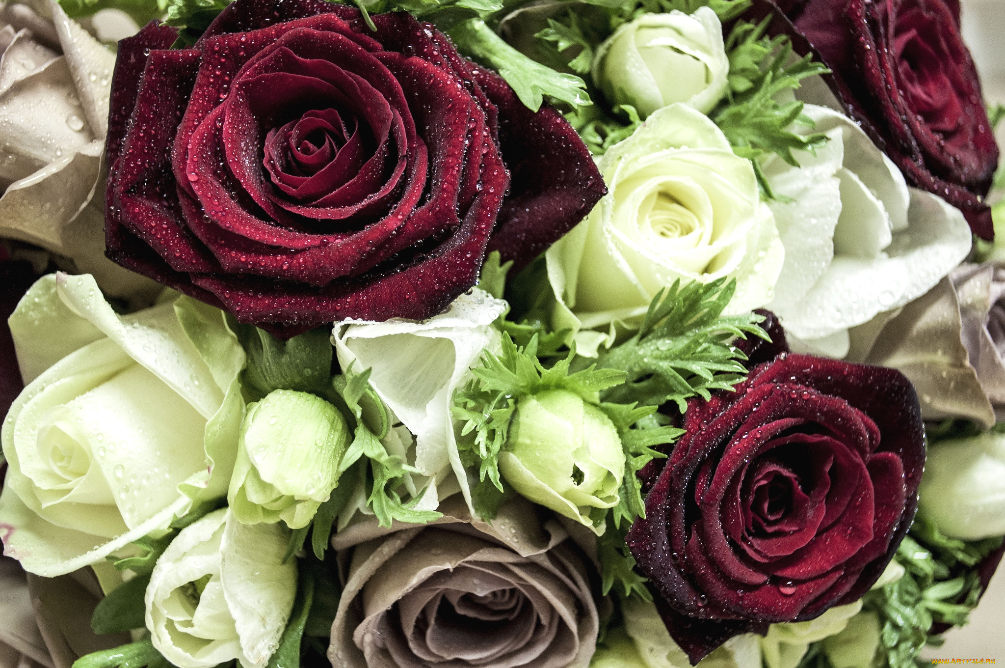 цветы, букеты, композиции, розы, анемоны, капли