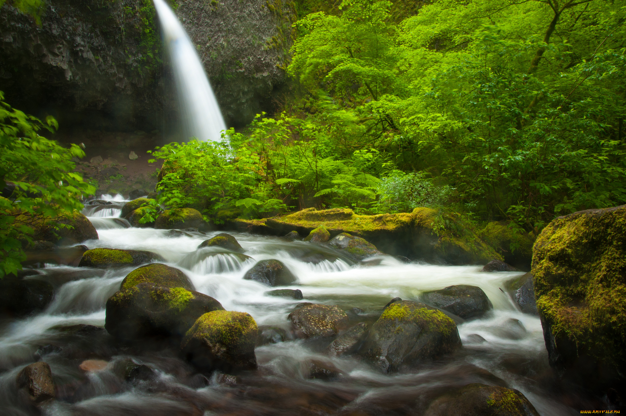 природа, водопады, поток, вода, камни, мох, ponytail, falls, columbia, river, gorge, oregon