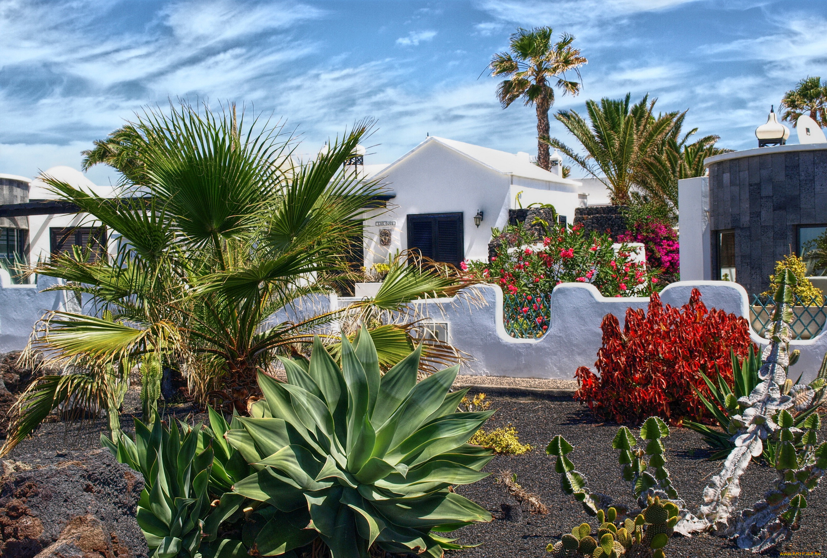 испания, канары, Чарко, дель, пало, города, улицы, площади, набережные, улица, дома, цветы