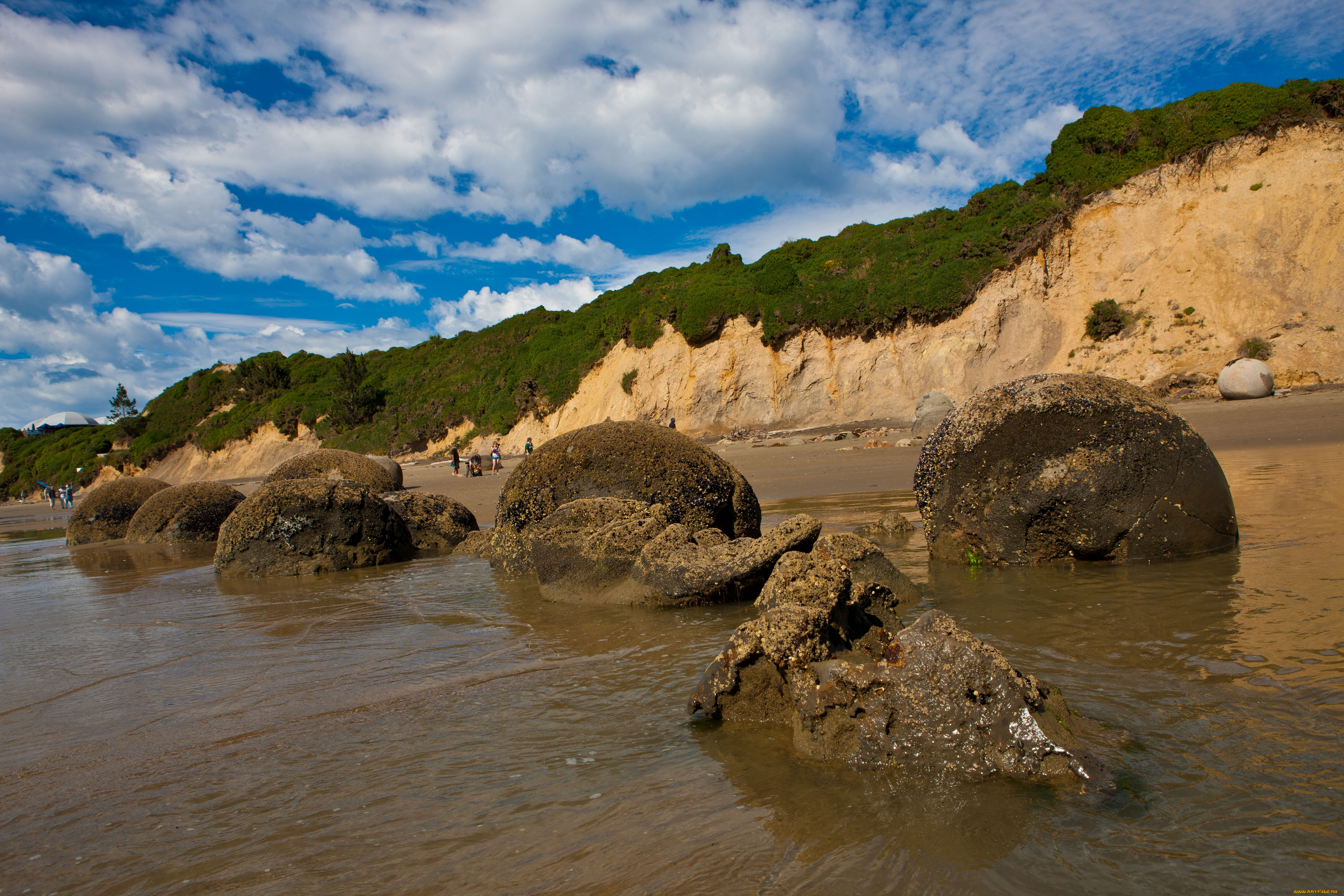 природа, побережье, новая, зеландия