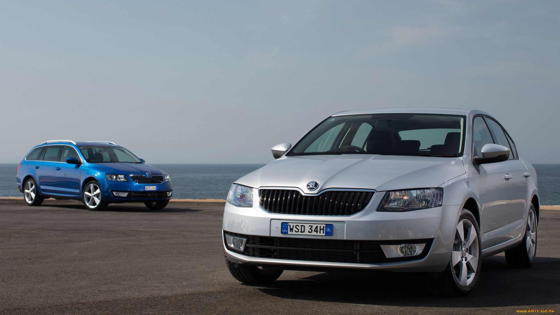 автомобили, skoda, octavia