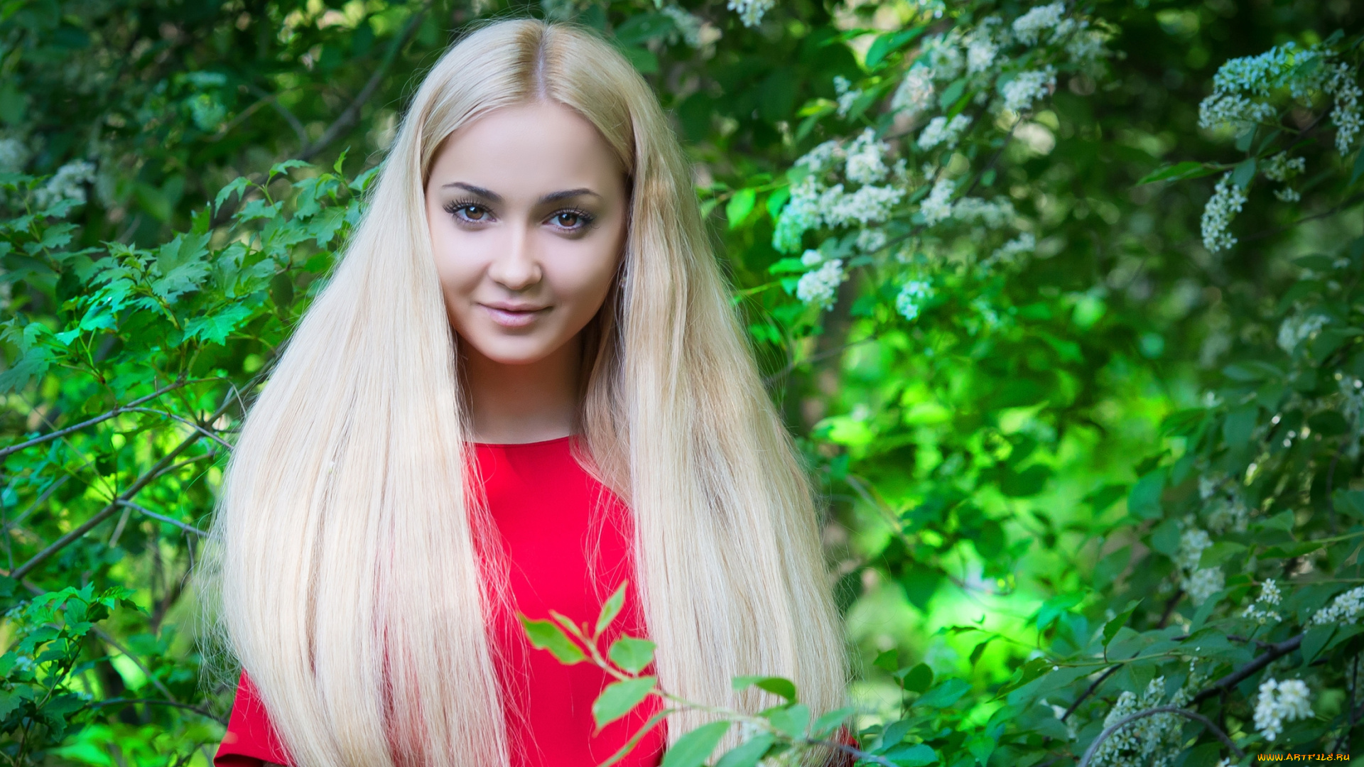 девушки, -unsort, , лица, , портреты, волосы