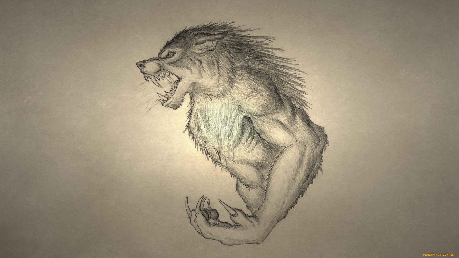 рисованные, минимализм, волк, рычит, werewolf, оборотень, wolf