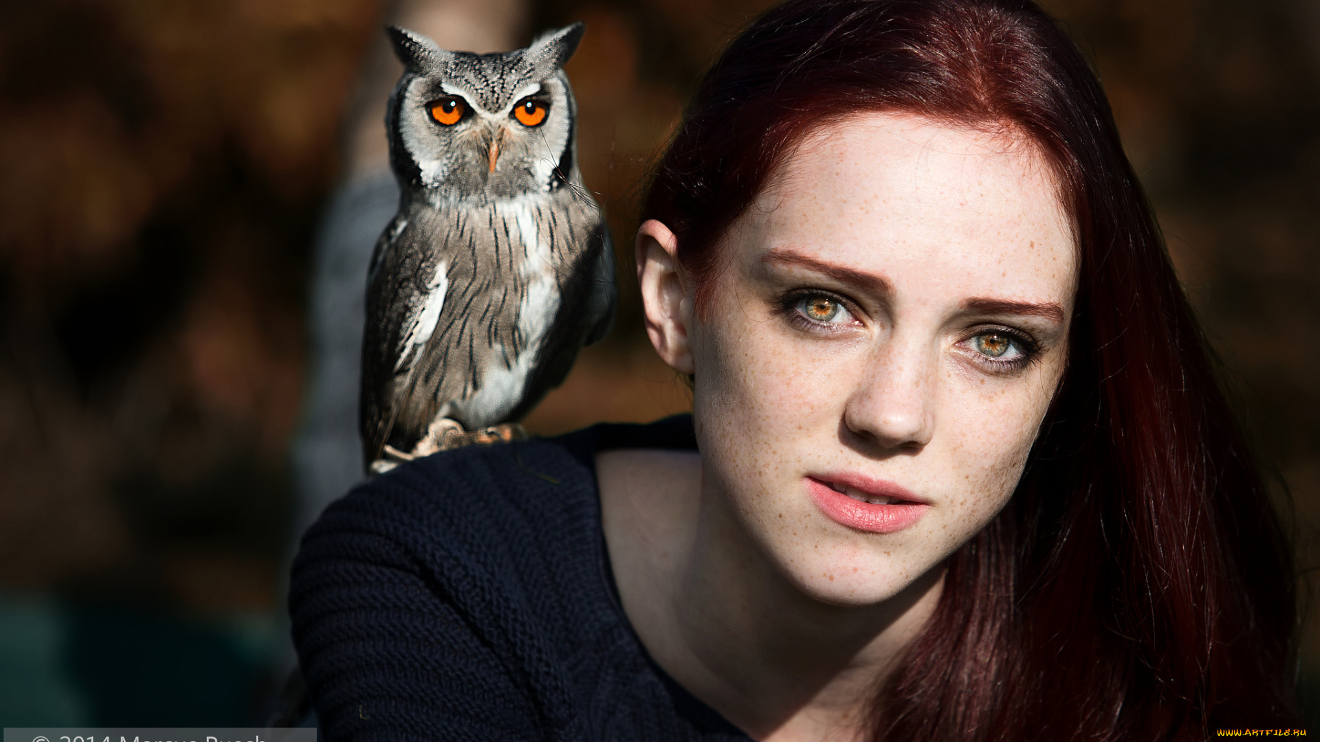 девушки, -unsort, , лица, , портреты, сова, взгляд, девушка, лицо