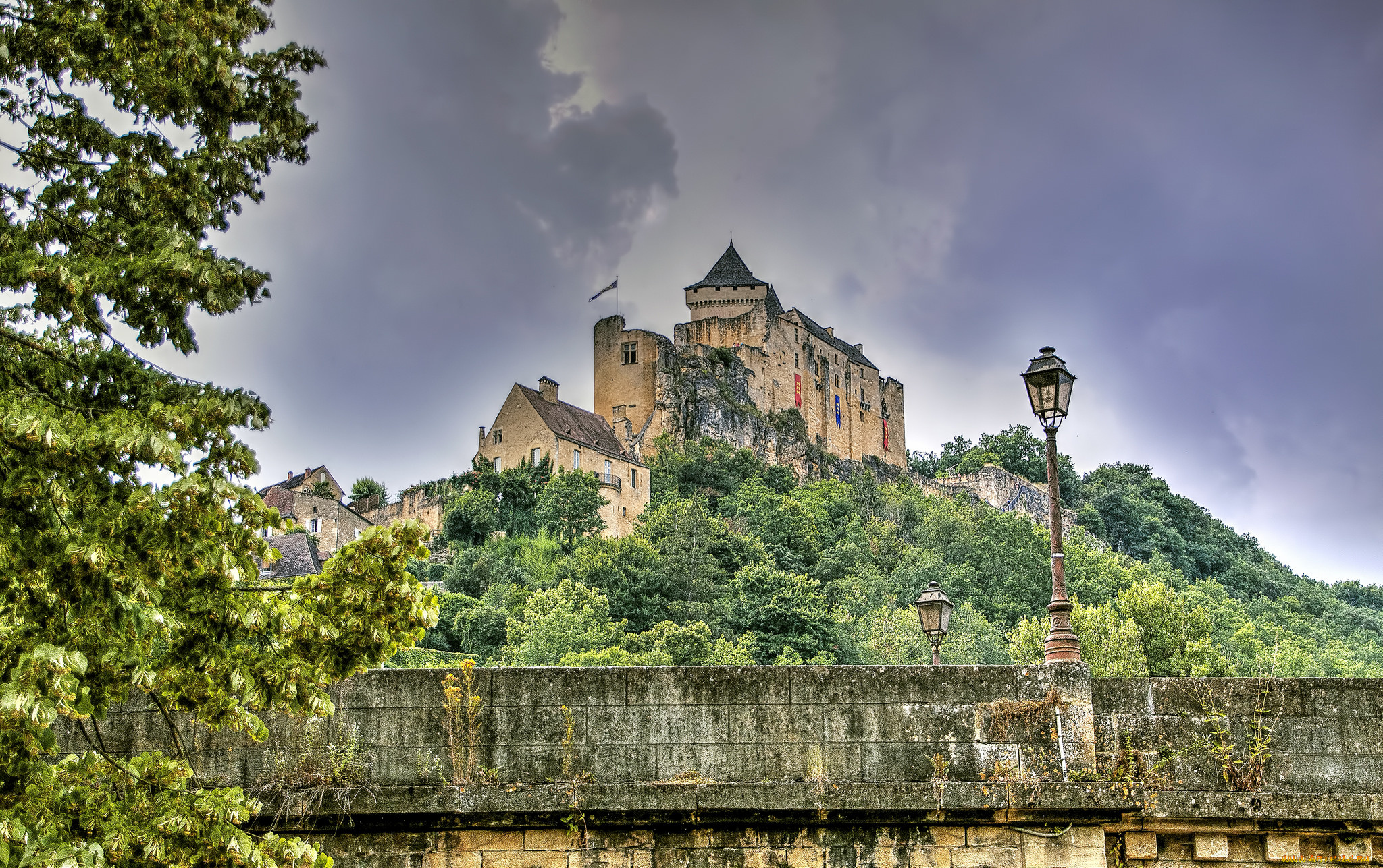 castelnaud-la-chapelle, города, замки, франции, лес, холм