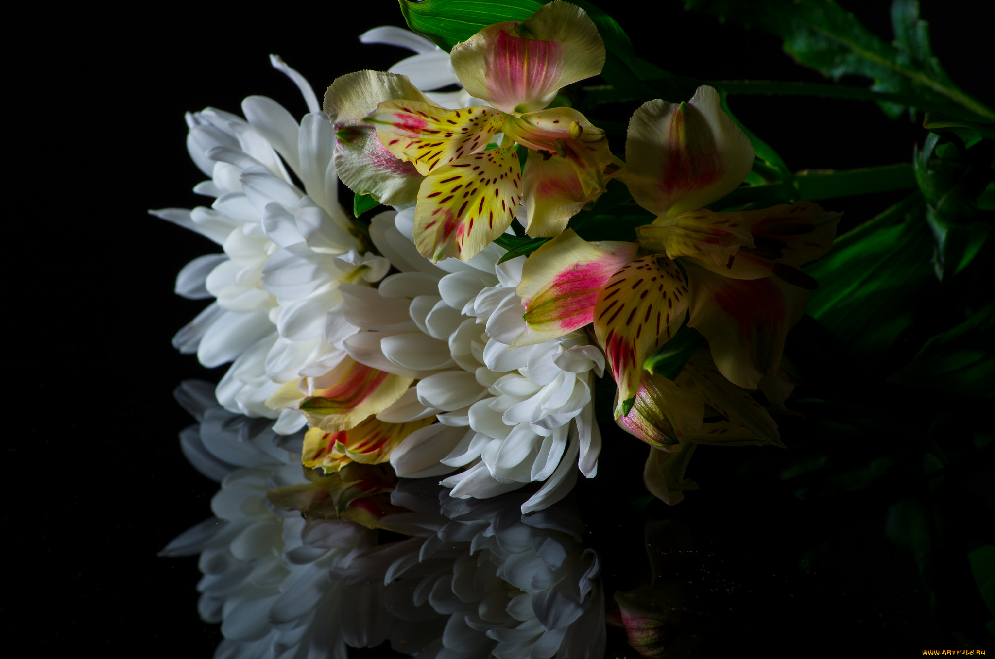 цветы, букеты, , композиции, букет