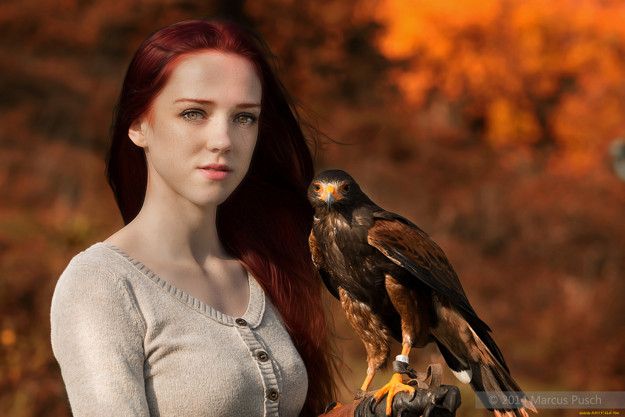 девушки, -unsort, , лица, , портреты, девушка, взгляд, хищник, птица