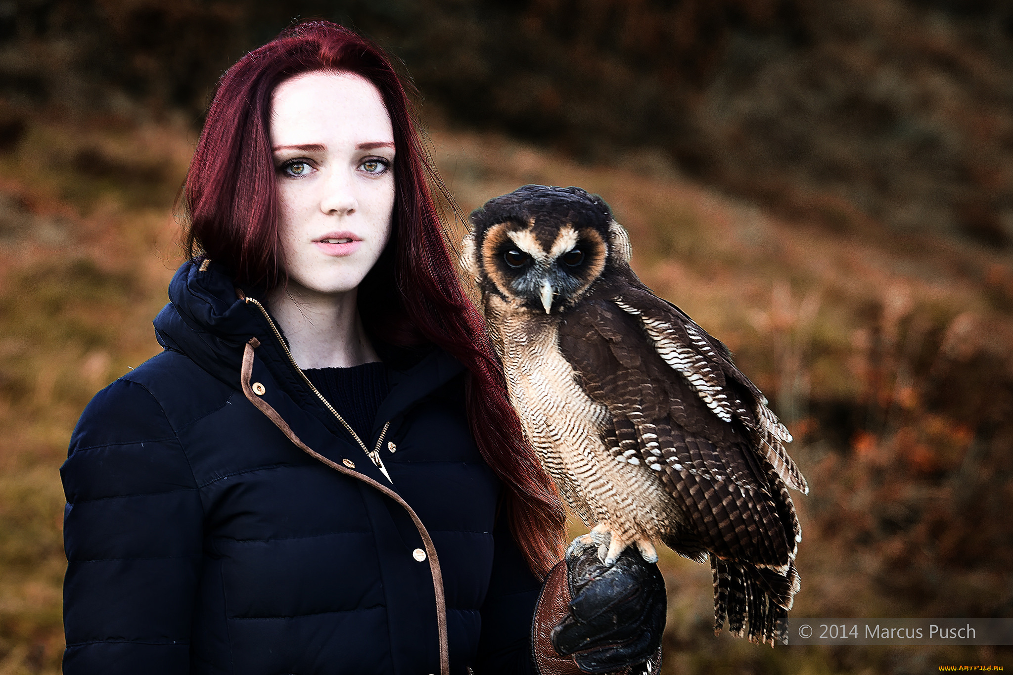 девушки, -unsort, , рыжеволосые, и, другие, девушка, сова